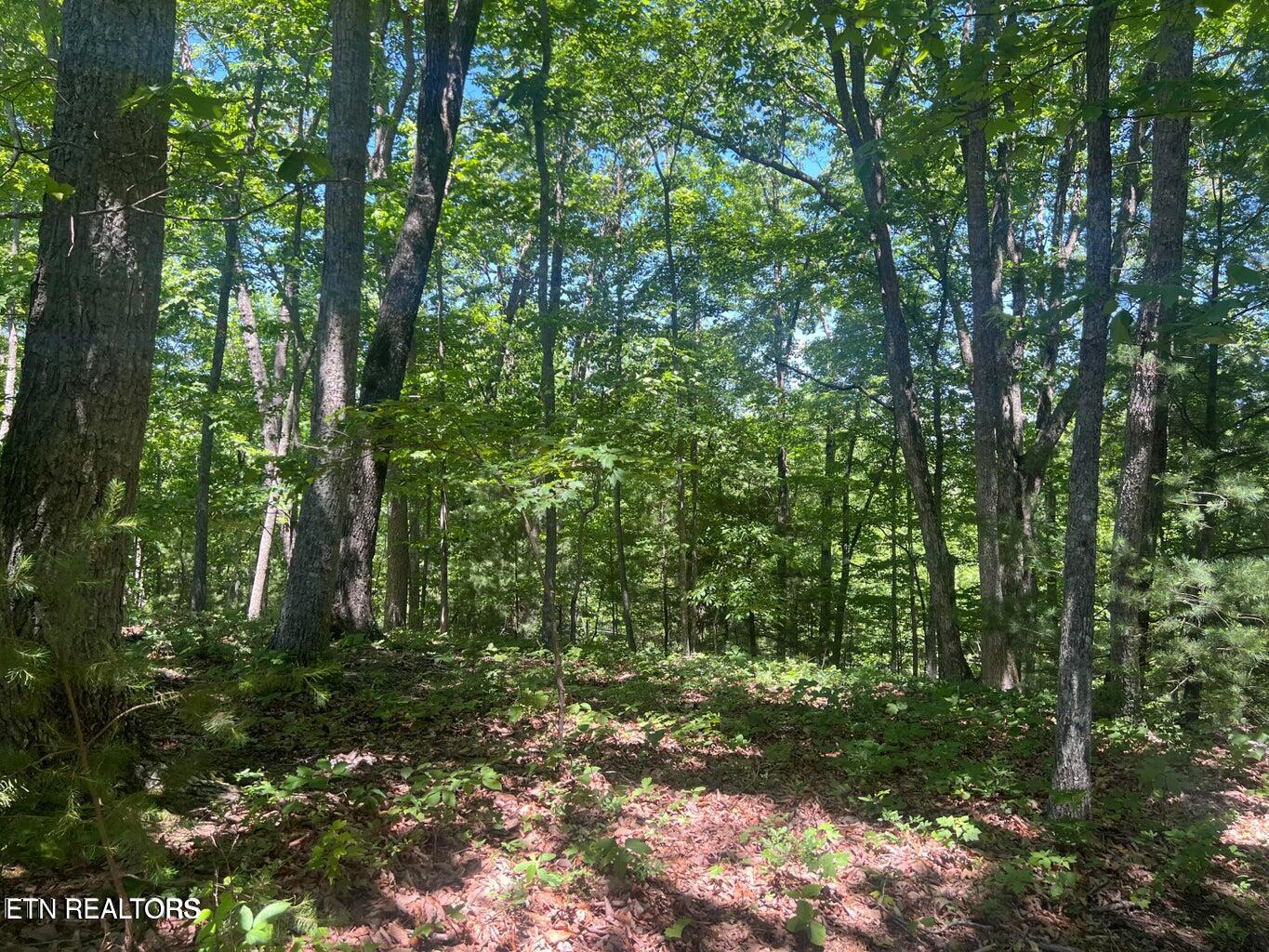 33 Camden Court Crossville TN 38558