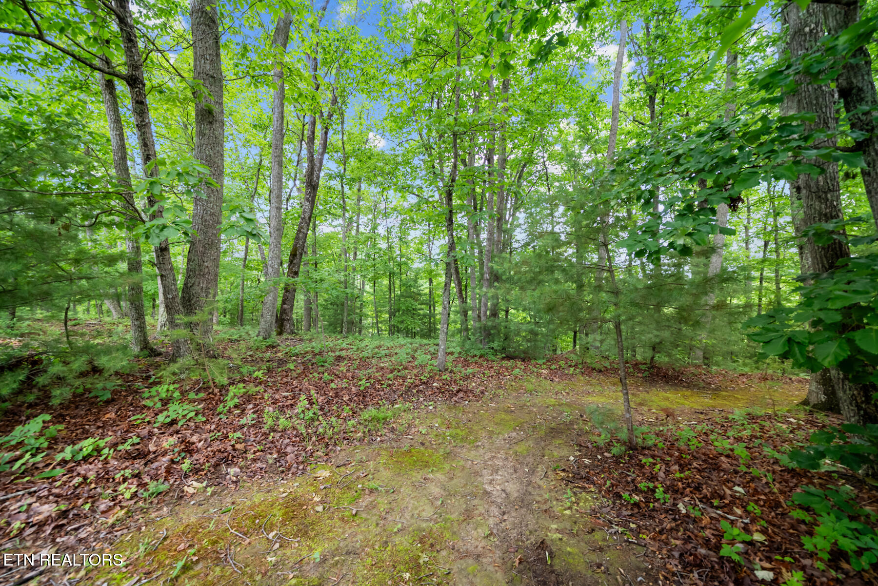33 Camden Court Crossville TN 38558