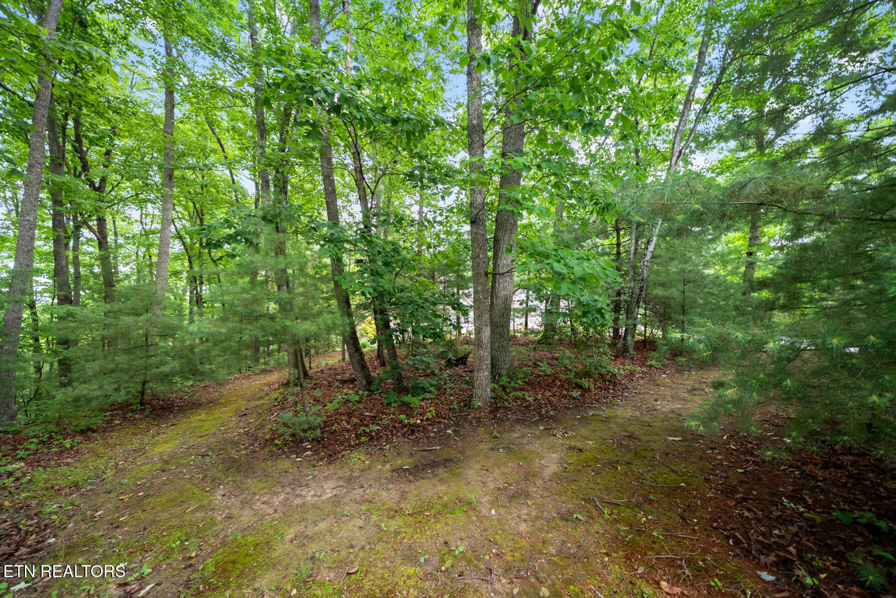 33 Camden Court Crossville TN 38558