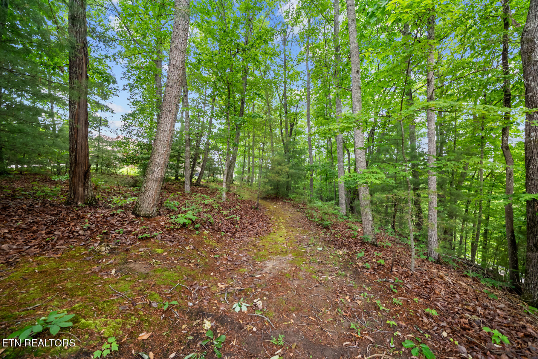 33 Camden Court Crossville TN 38558