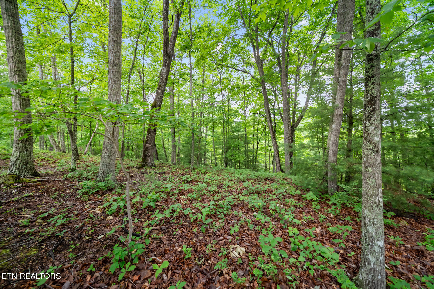 33 Camden Court Crossville TN 38558