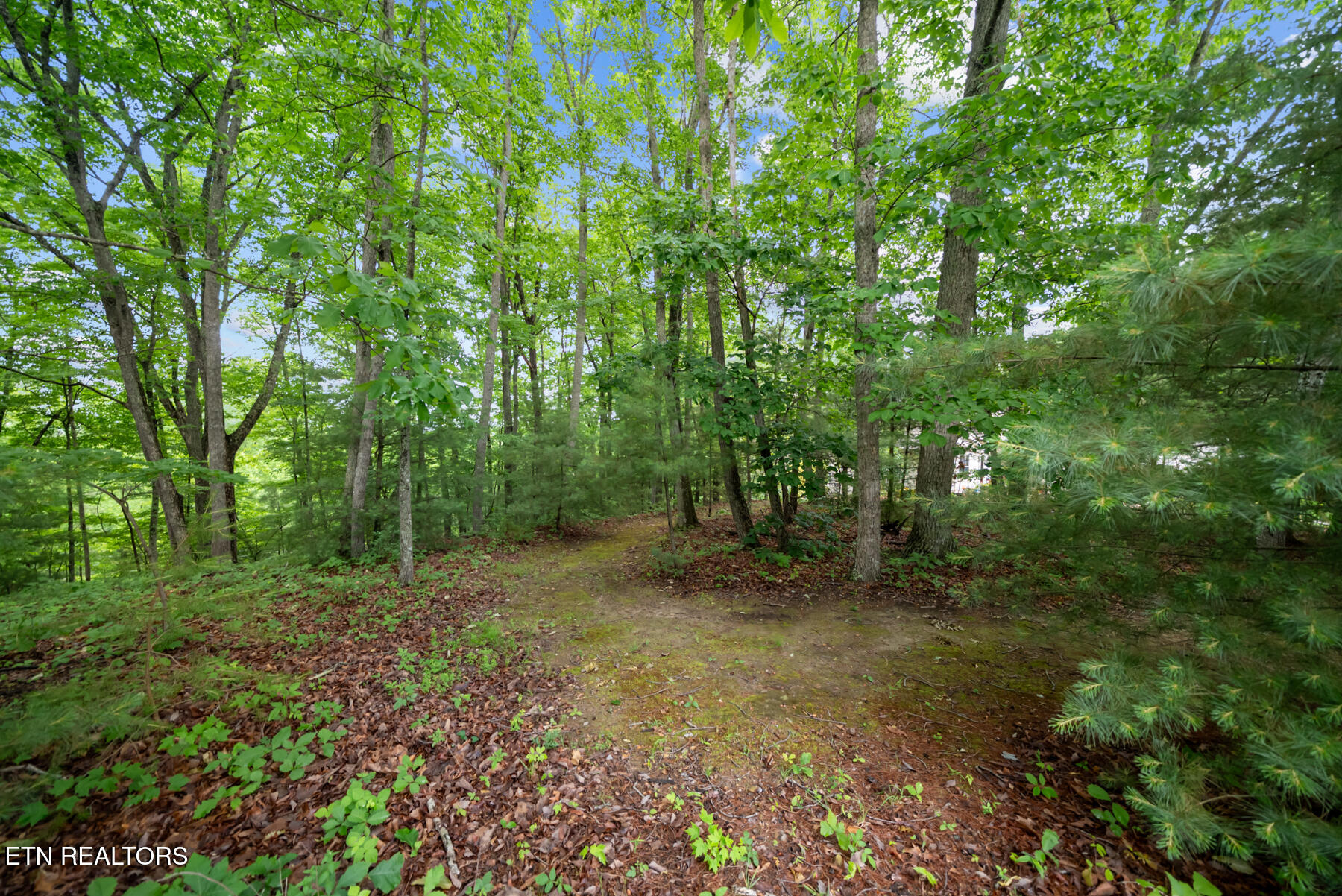 33 Camden Court Crossville TN 38558