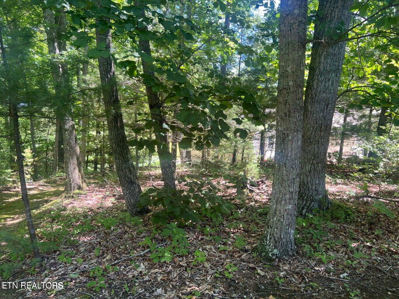 33 Camden Court Crossville TN 38558