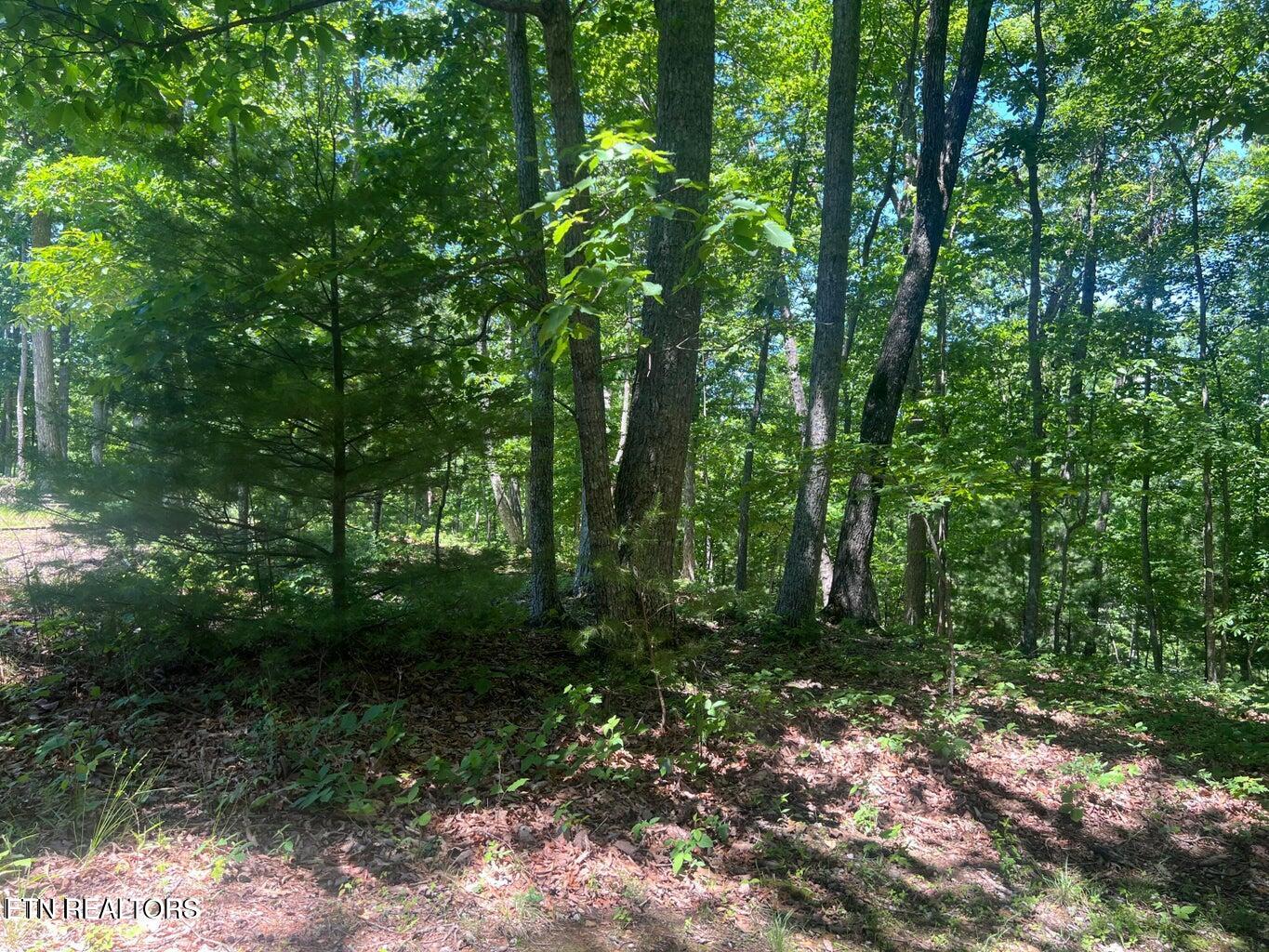 33 Camden Court Crossville TN 38558