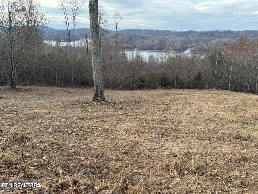 Lot 34 Hickory Pointe Lane Maynardville TN 37807