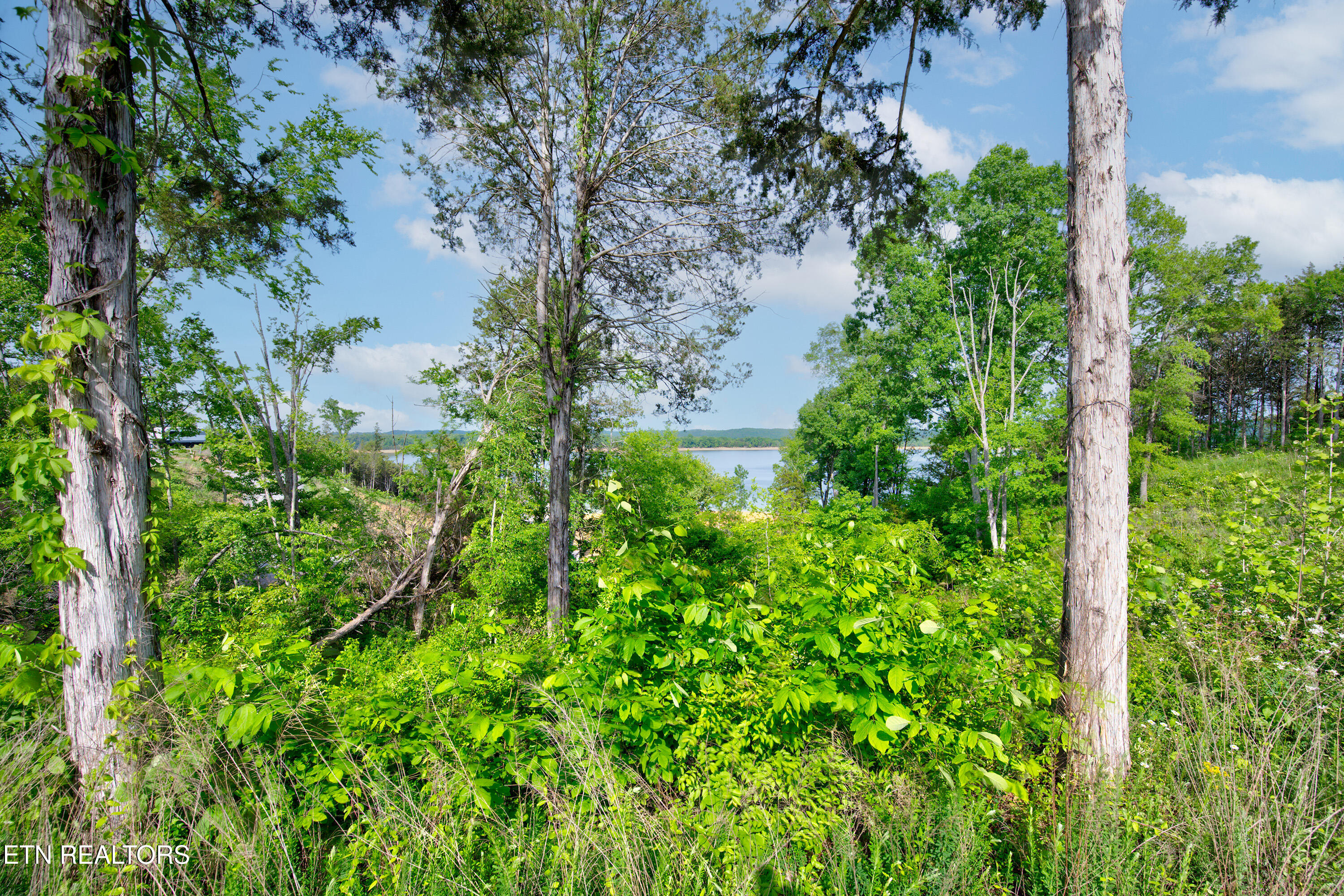 Quiet Cove Way Dandridge TN 37725