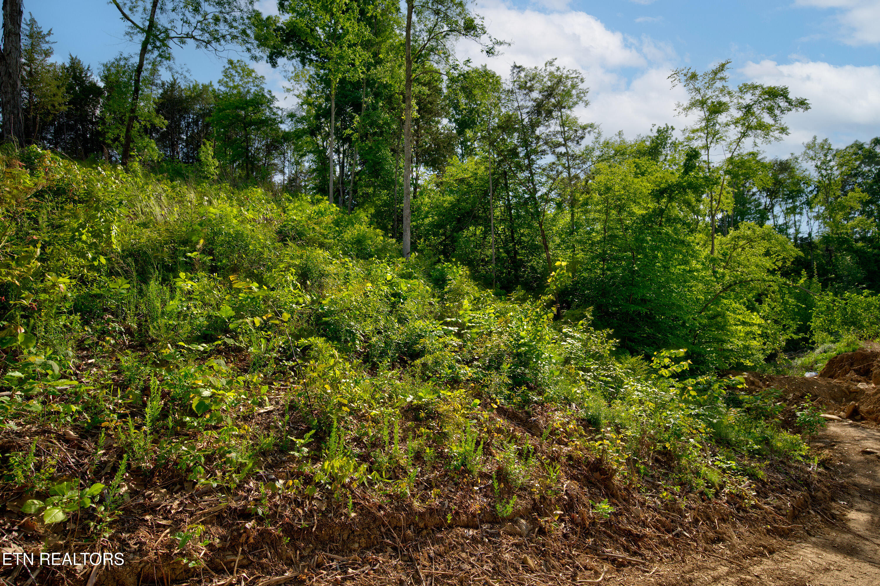 Quiet Cove Way Dandridge TN 37725