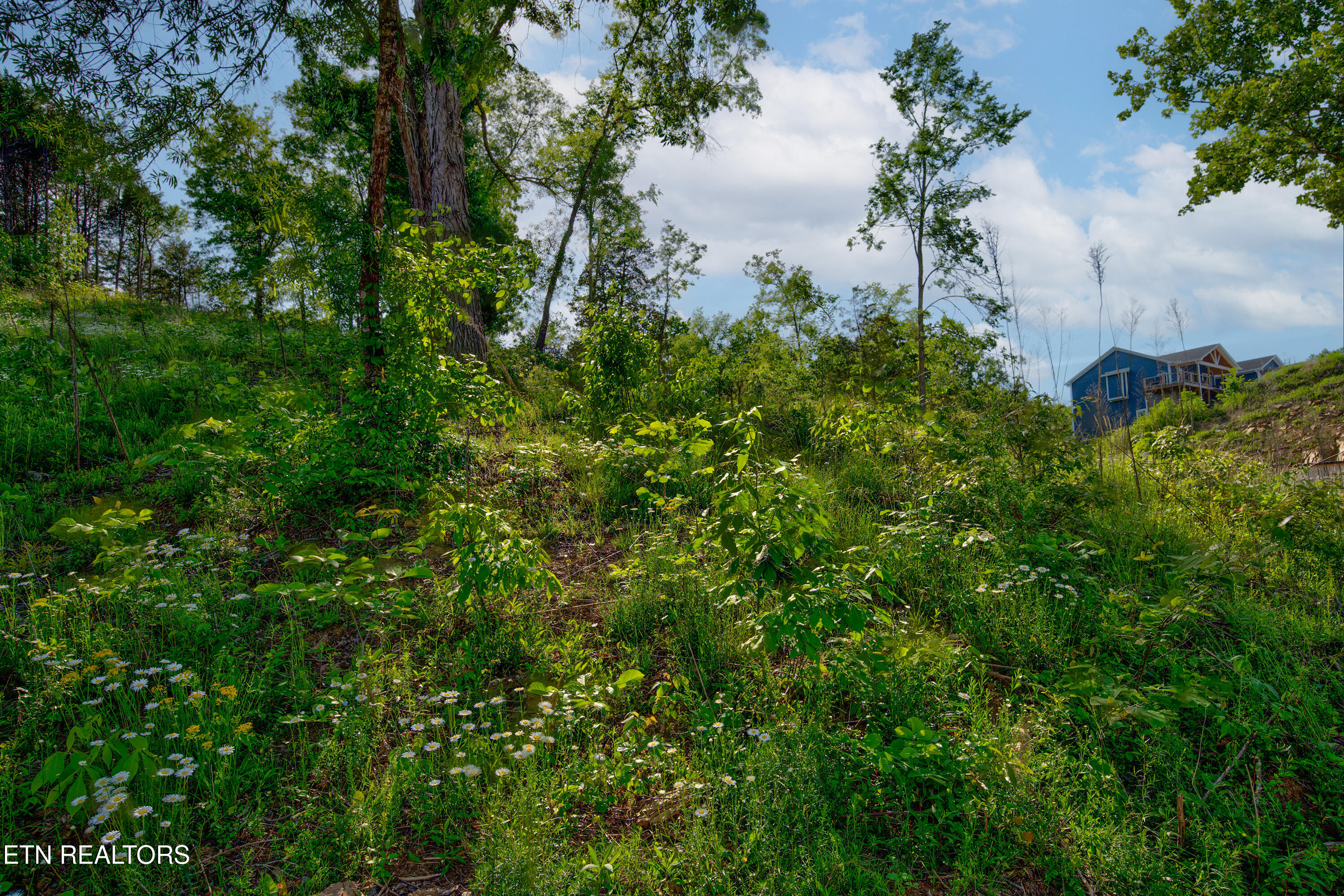 Quiet Cove Way Dandridge TN 37725