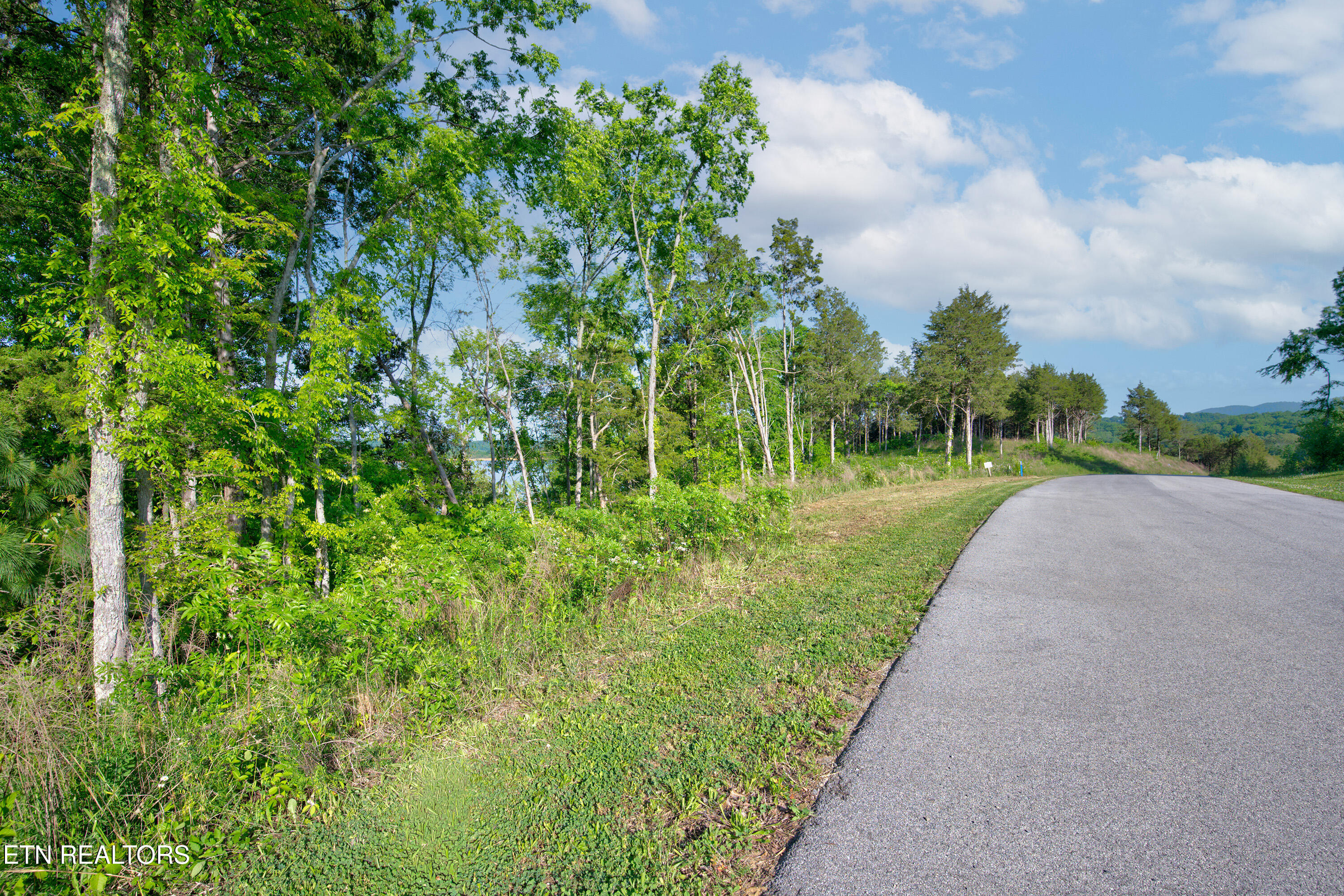 Quiet Cove Way Dandridge TN 37725