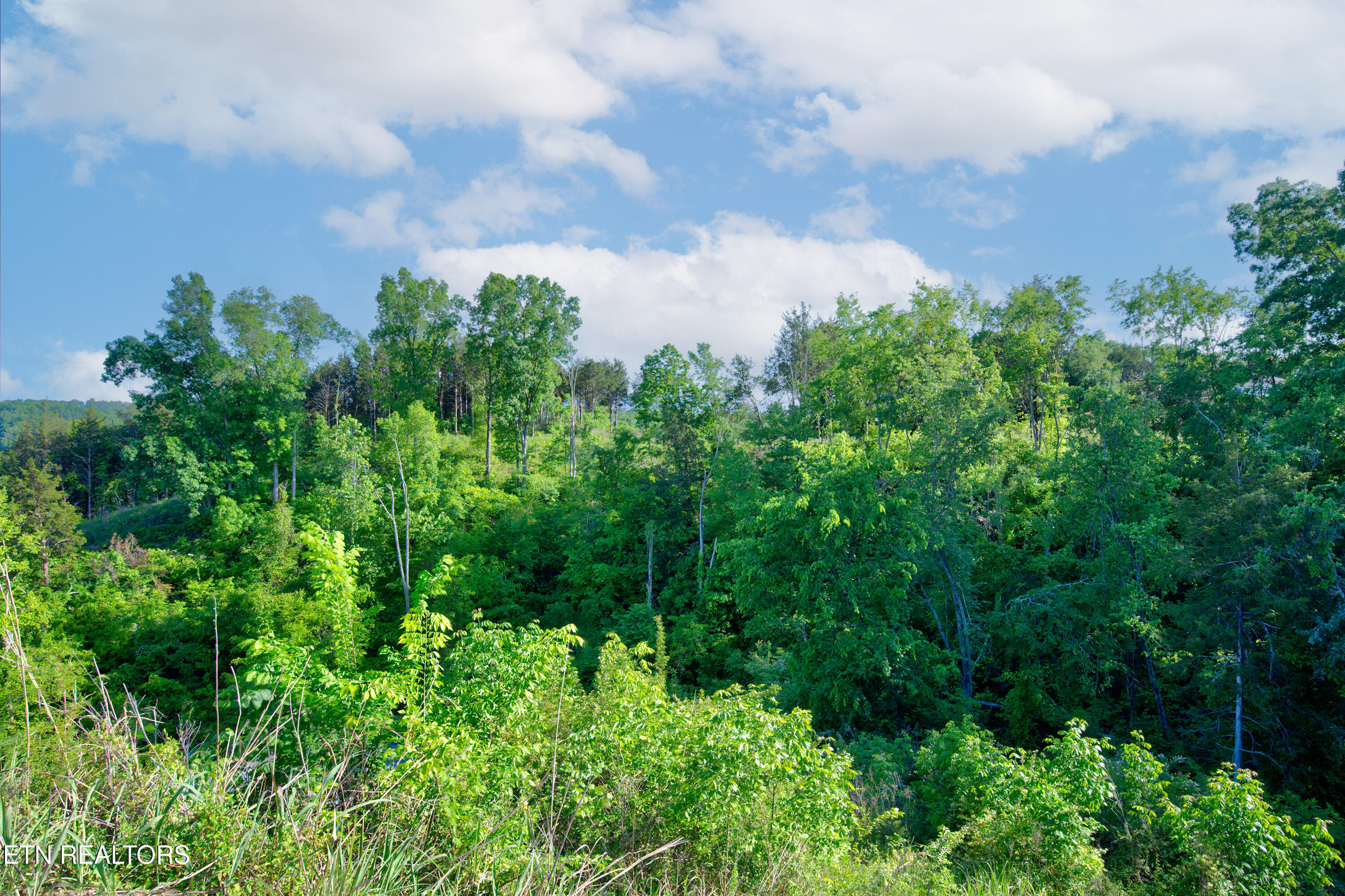 Quiet Cove Way Dandridge TN 37725