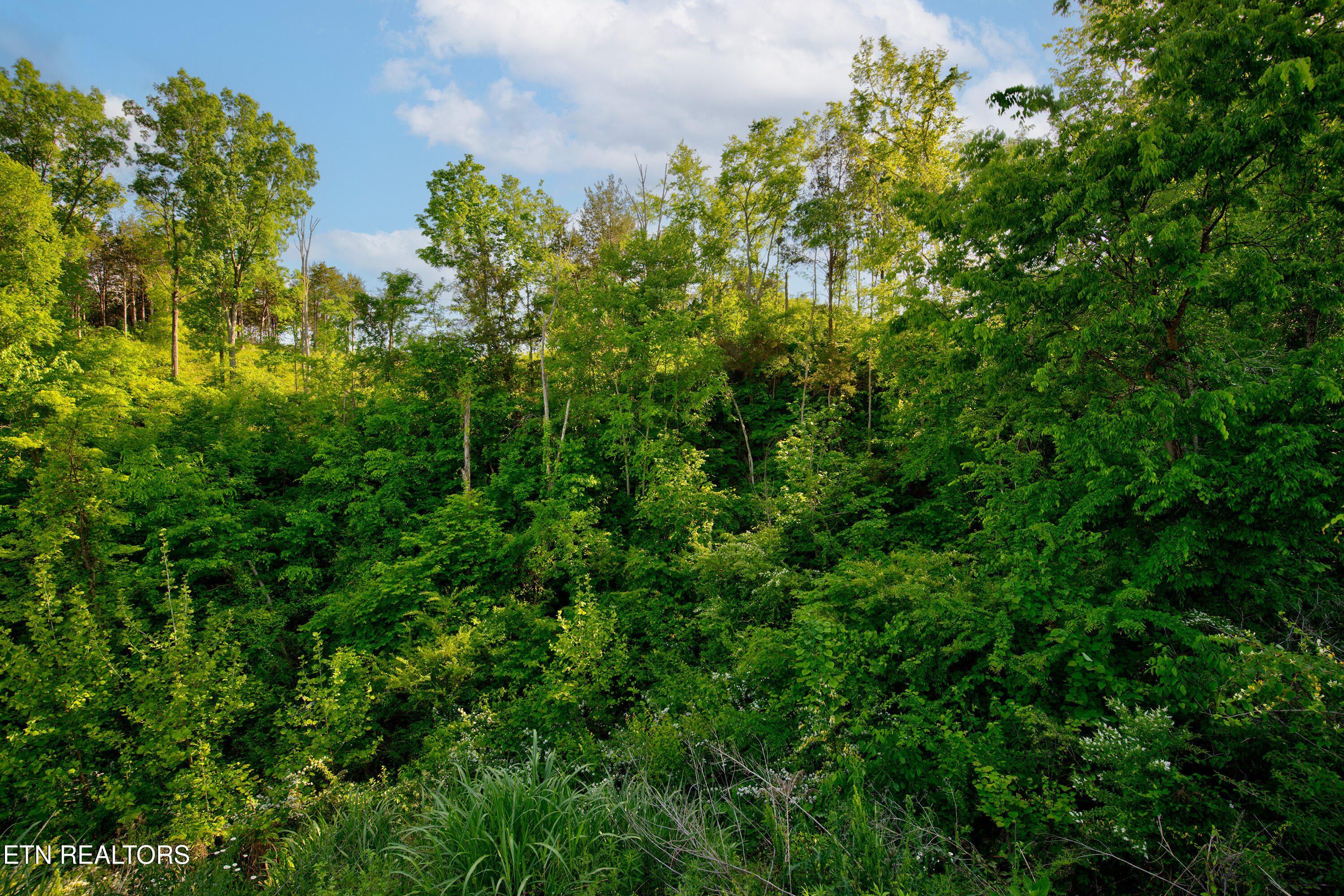 Quiet Cove Way Dandridge TN 37725