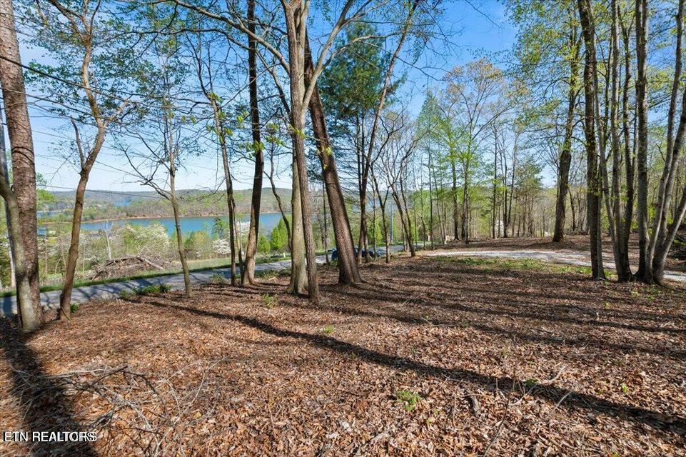 Demory Road Lafollette TN 37766