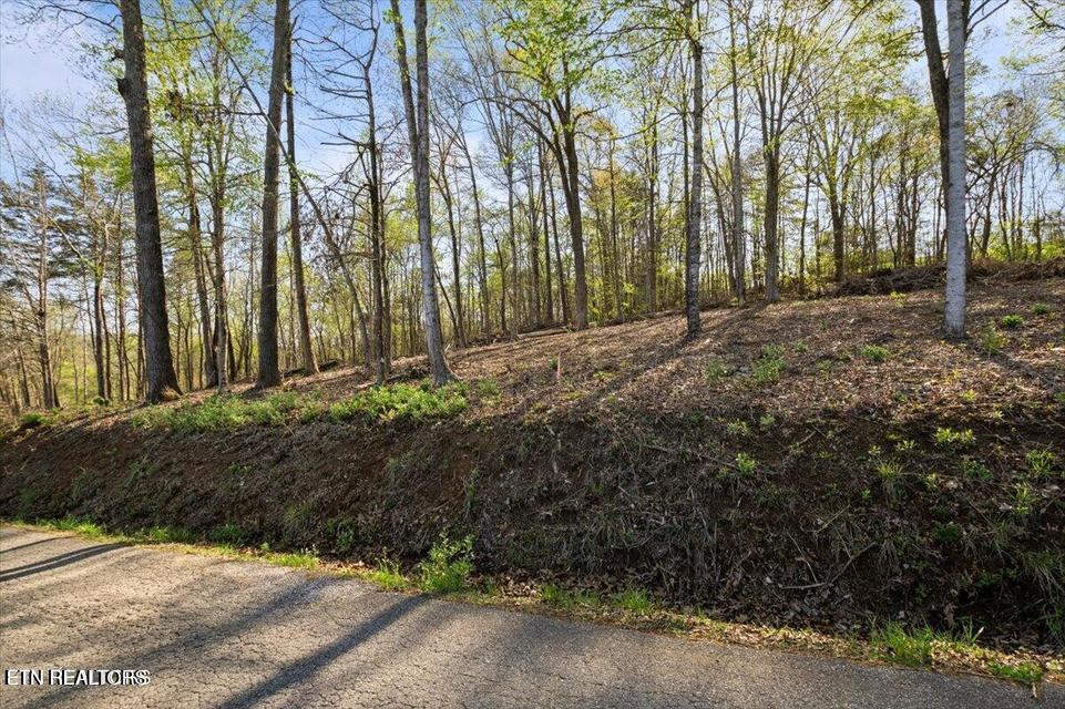 Demory Road Lafollette TN 37766