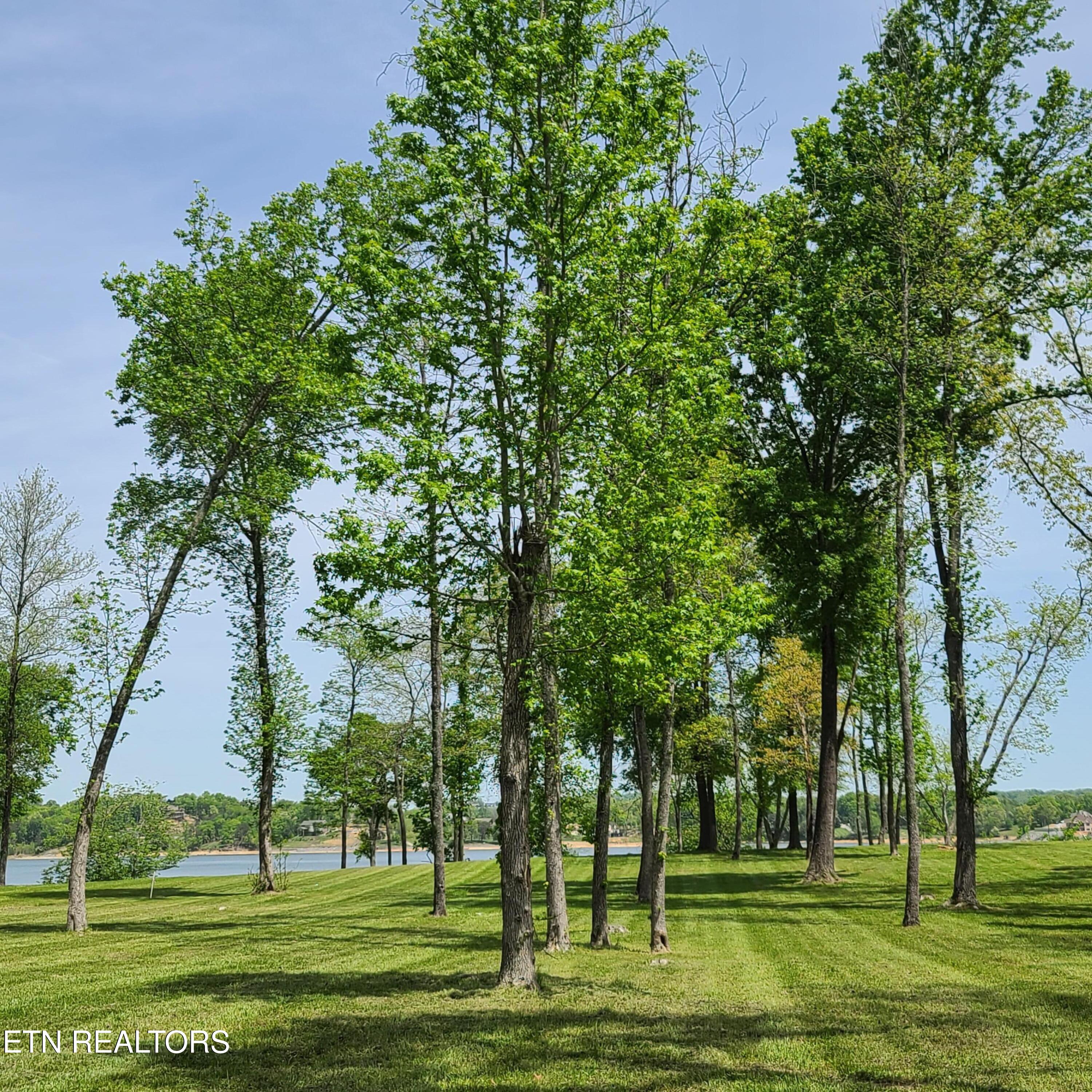 Lot 36 Waterview Lane Dandridge TN 37725