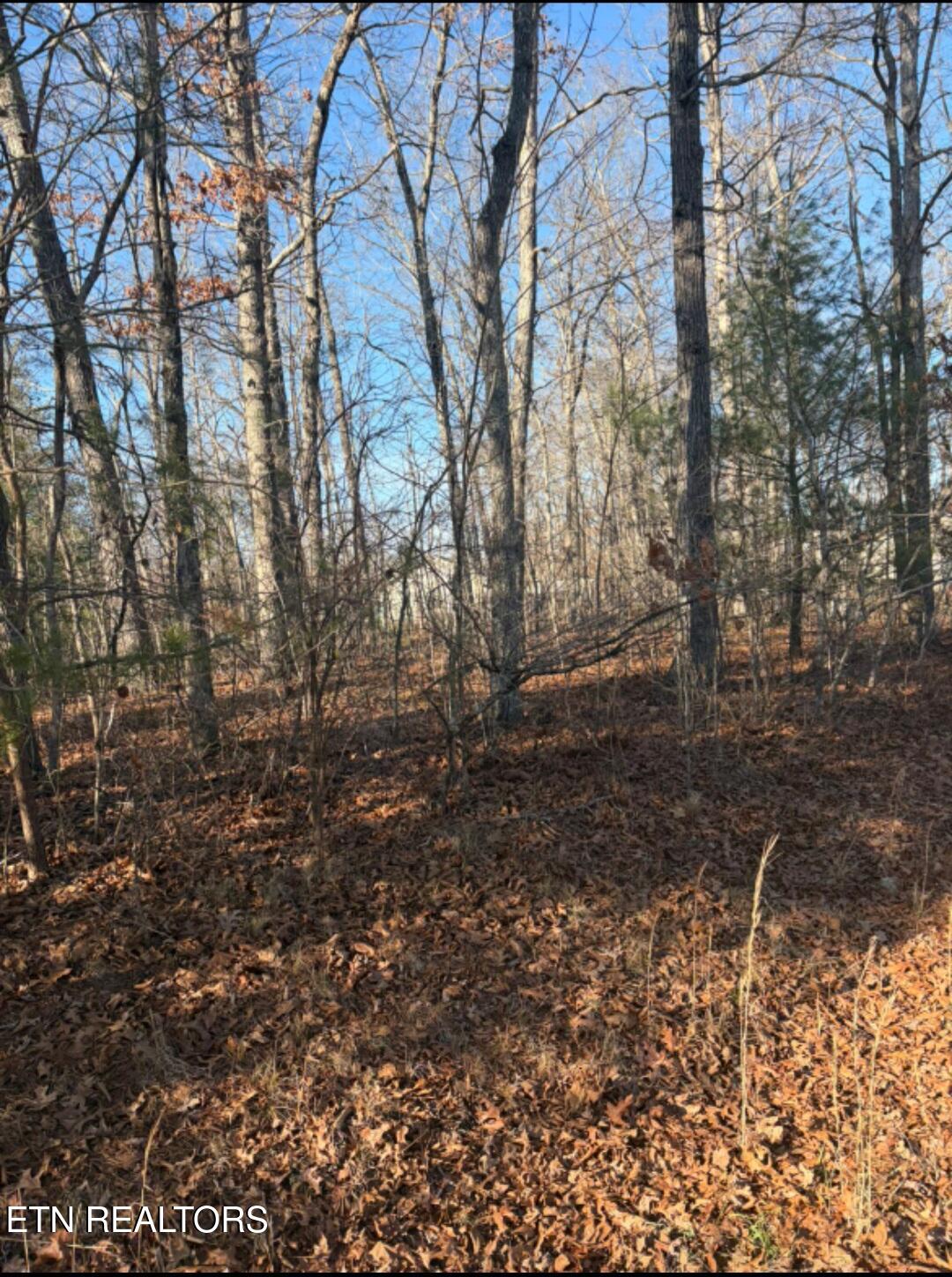 402 Acoma Drive Crossville TN 38572