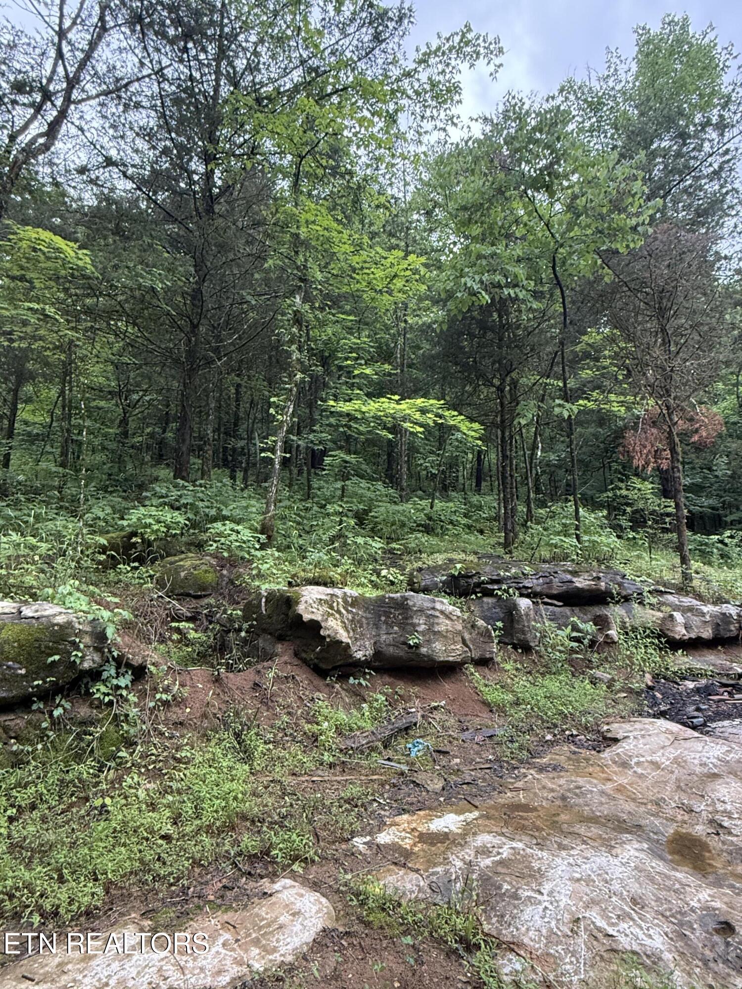 940 Riley Creek Road Whitleyville TN 38588