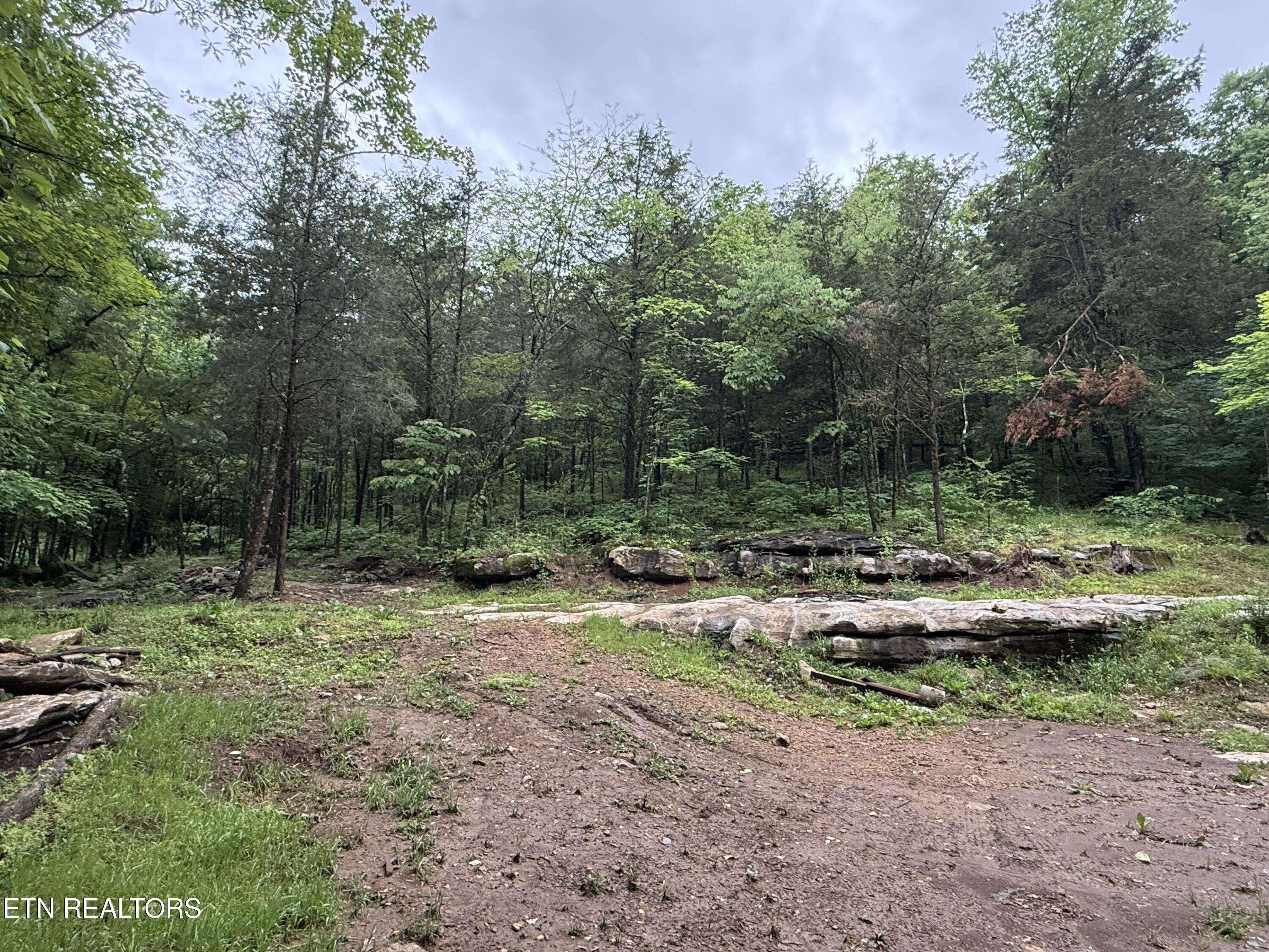 940 Riley Creek Road Whitleyville TN 38588