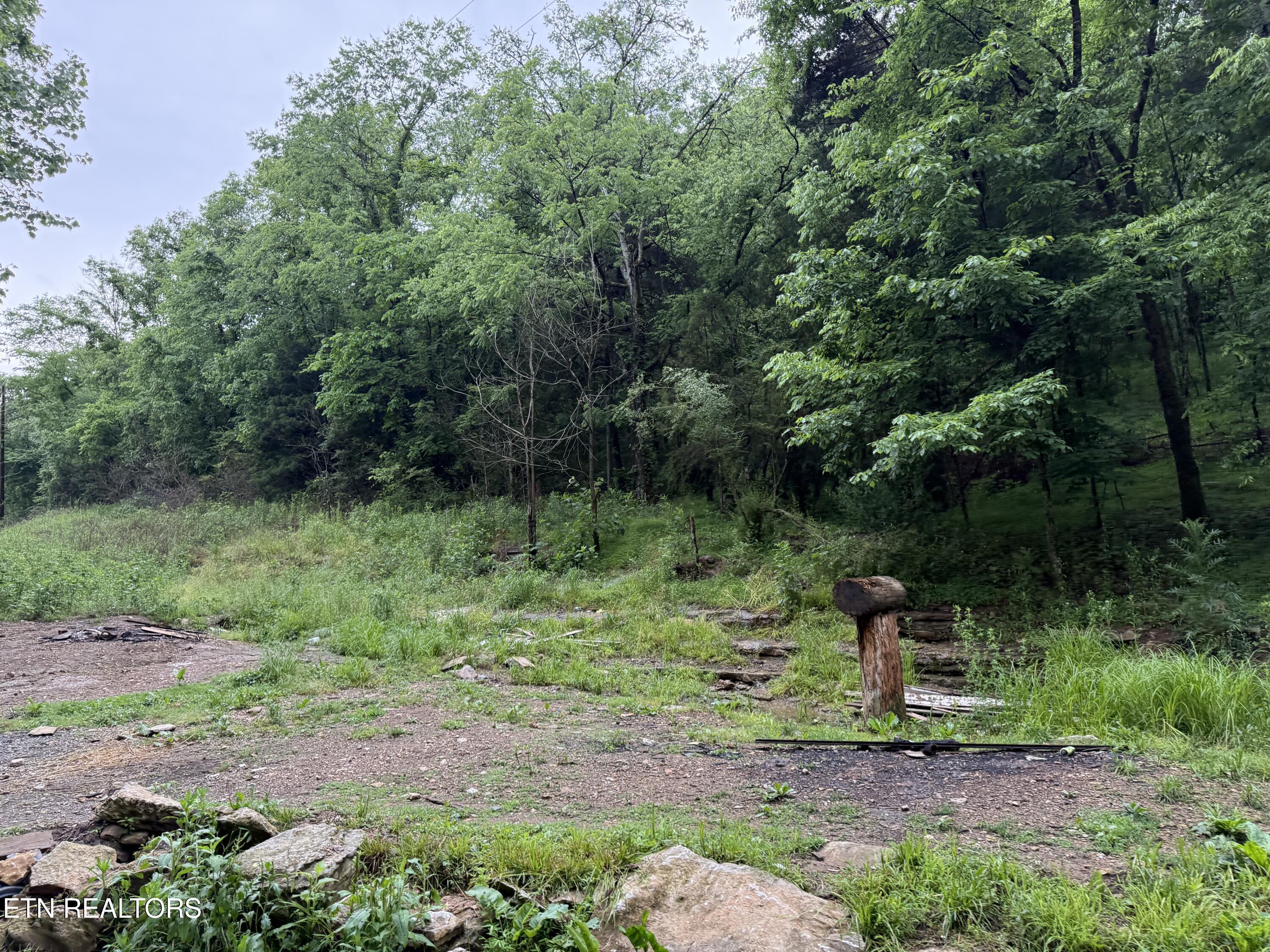 940 Riley Creek Road Whitleyville TN 38588