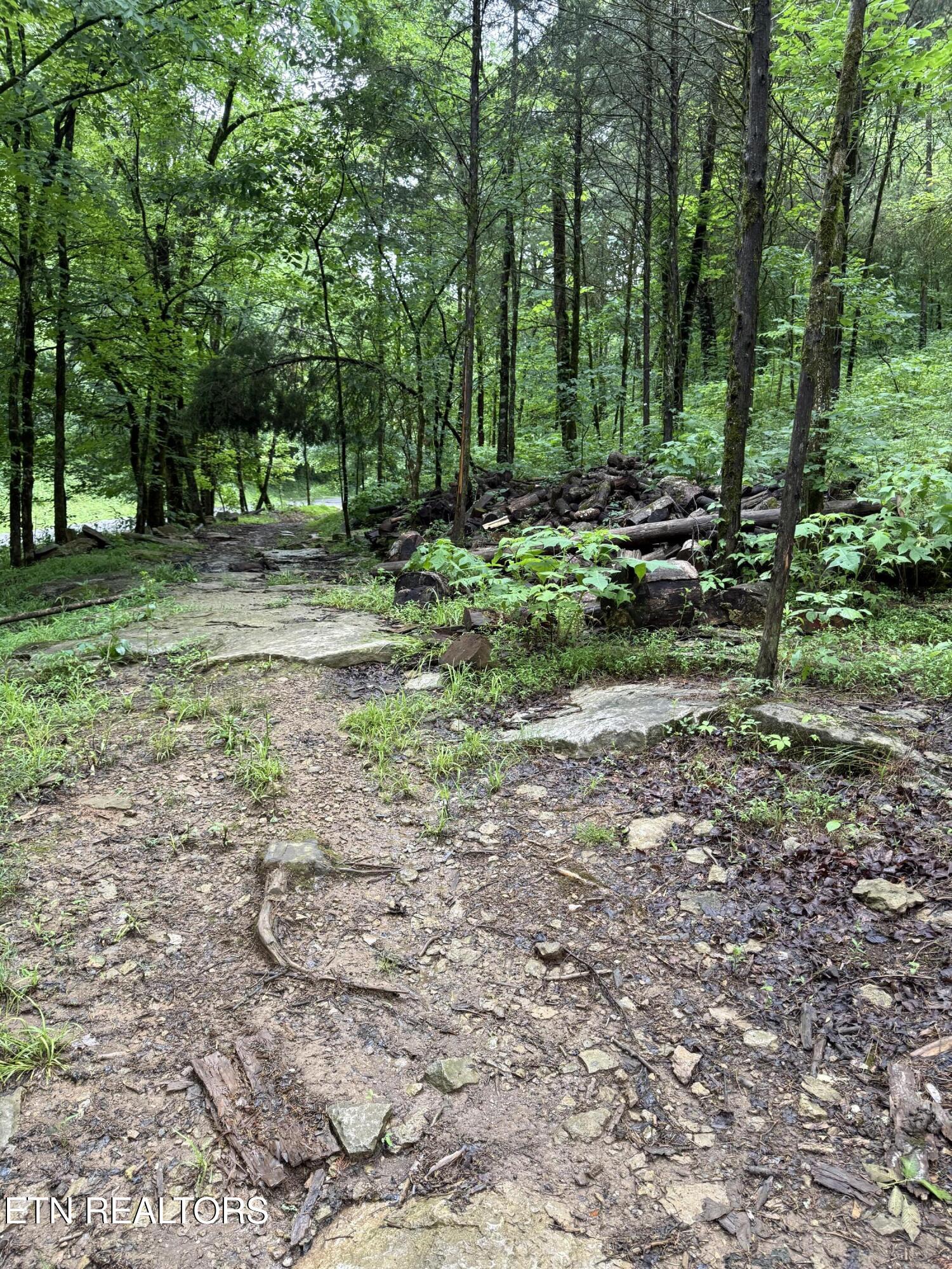 940 Riley Creek Road Whitleyville TN 38588
