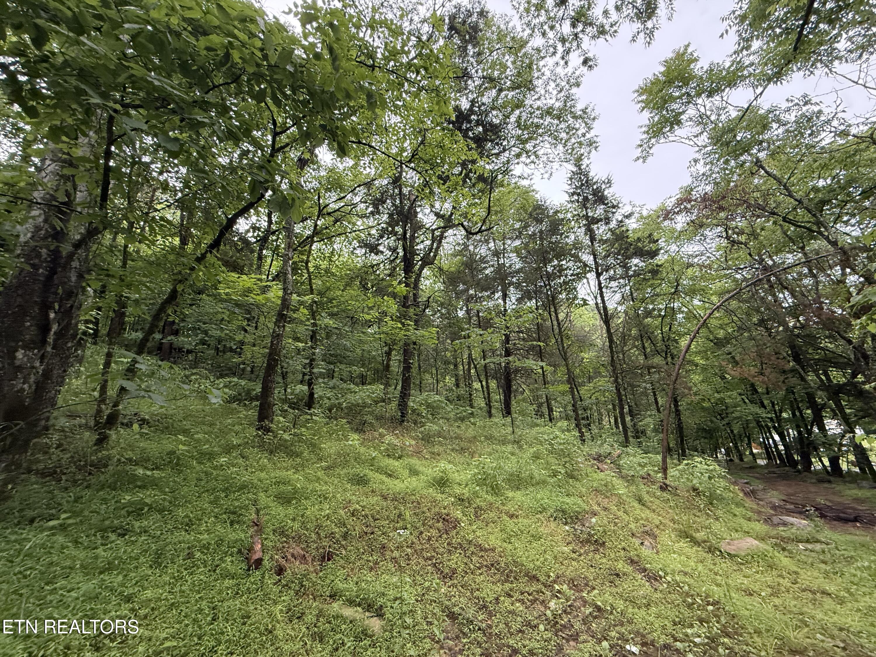 940 Riley Creek Road Whitleyville TN 38588