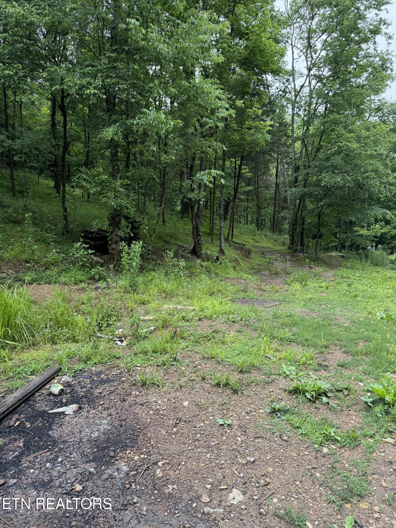 940 Riley Creek Road Whitleyville TN 38588
