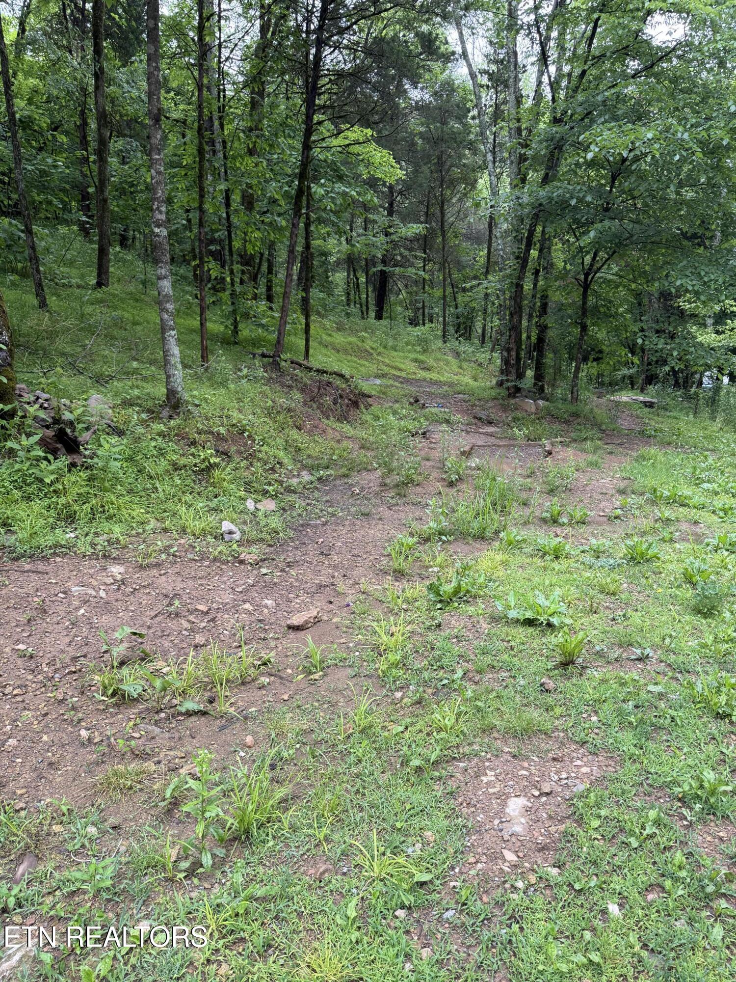 940 Riley Creek Road Whitleyville TN 38588
