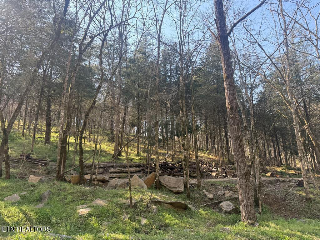 940 Riley Creek Road Whitleyville TN 38588