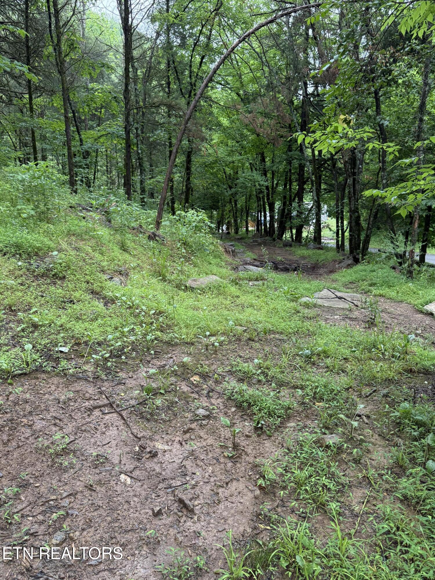 940 Riley Creek Road Whitleyville TN 38588