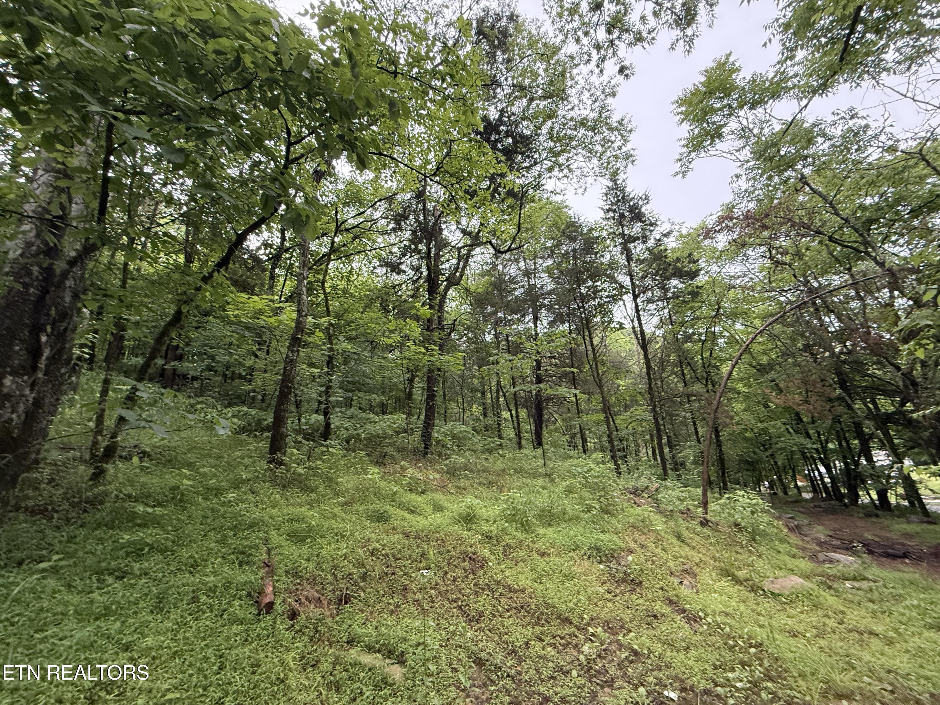 940 Riley Creek Road Whitleyville TN 38588