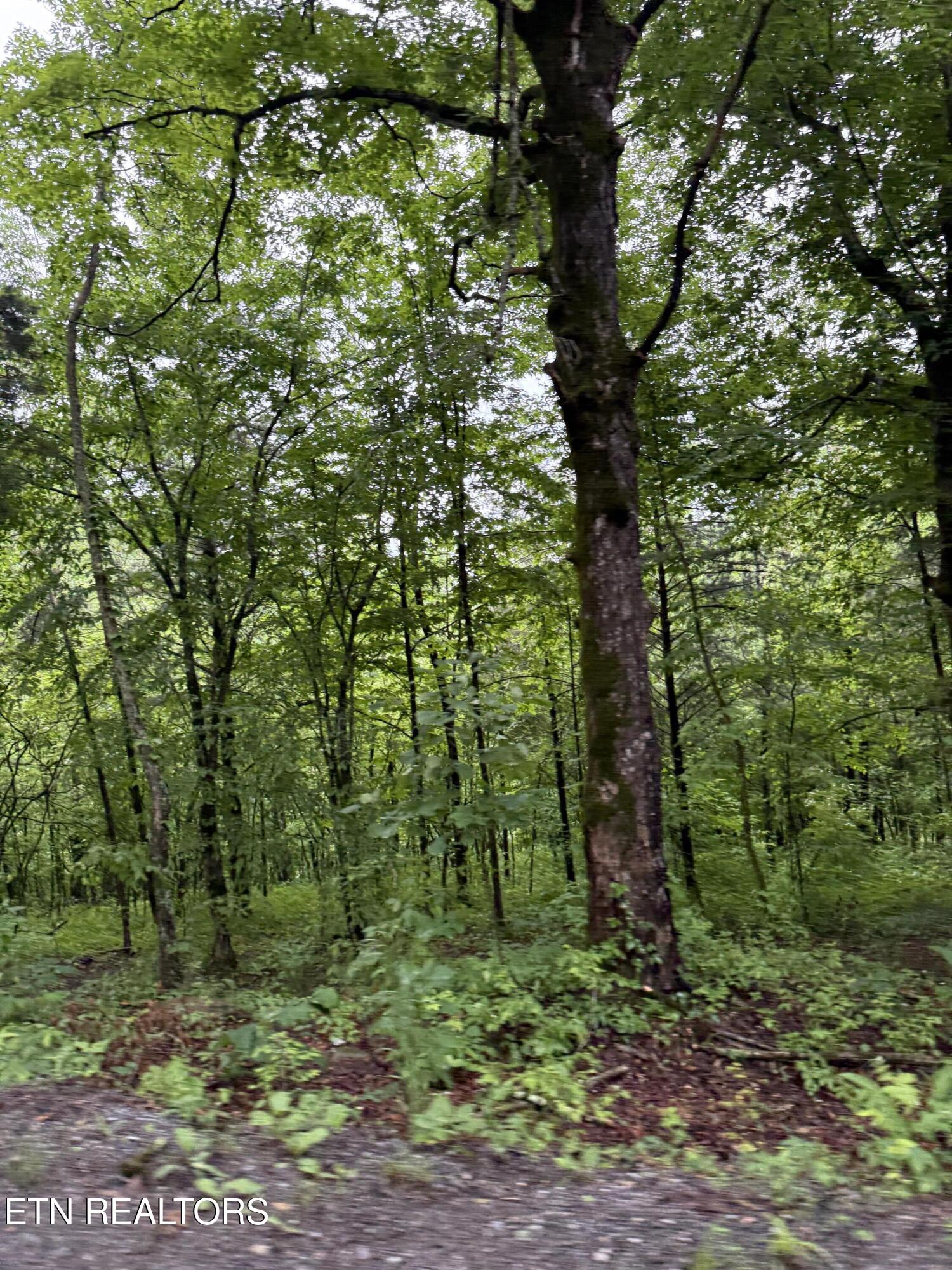 940 Riley Creek Road Whitleyville TN 38588