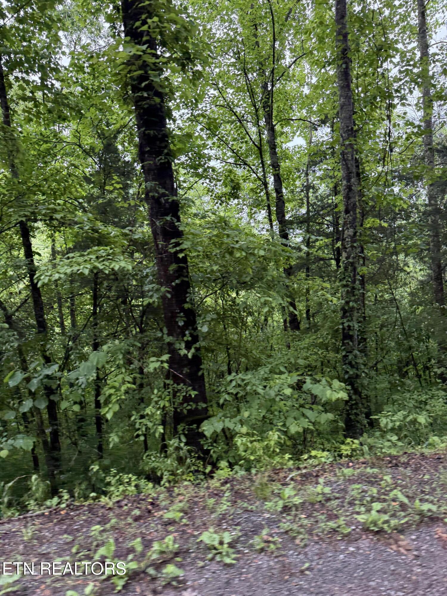 940 Riley Creek Road Whitleyville TN 38588