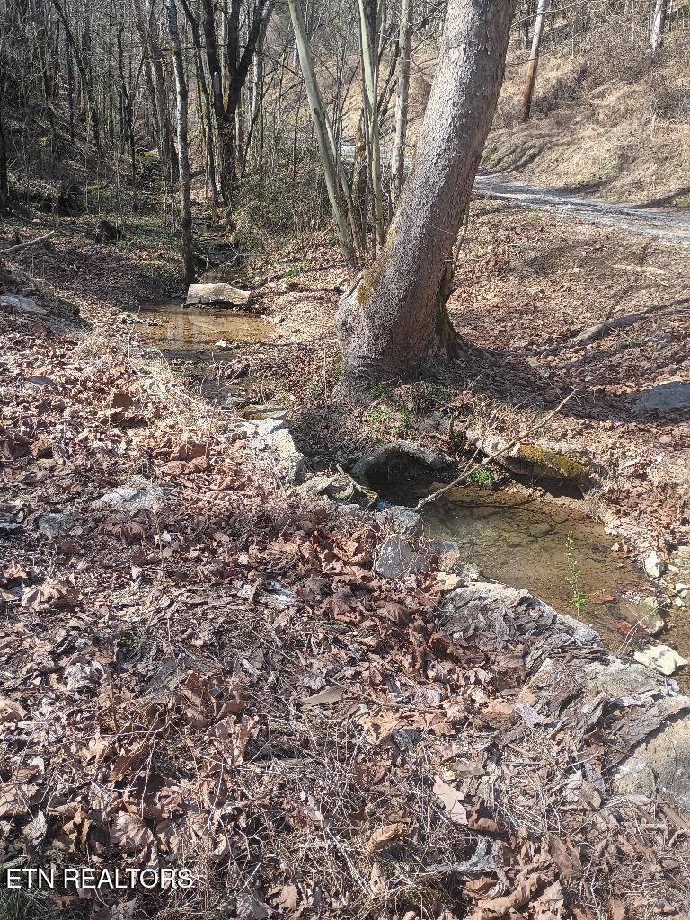 940 Riley Creek Road Whitleyville TN 38588