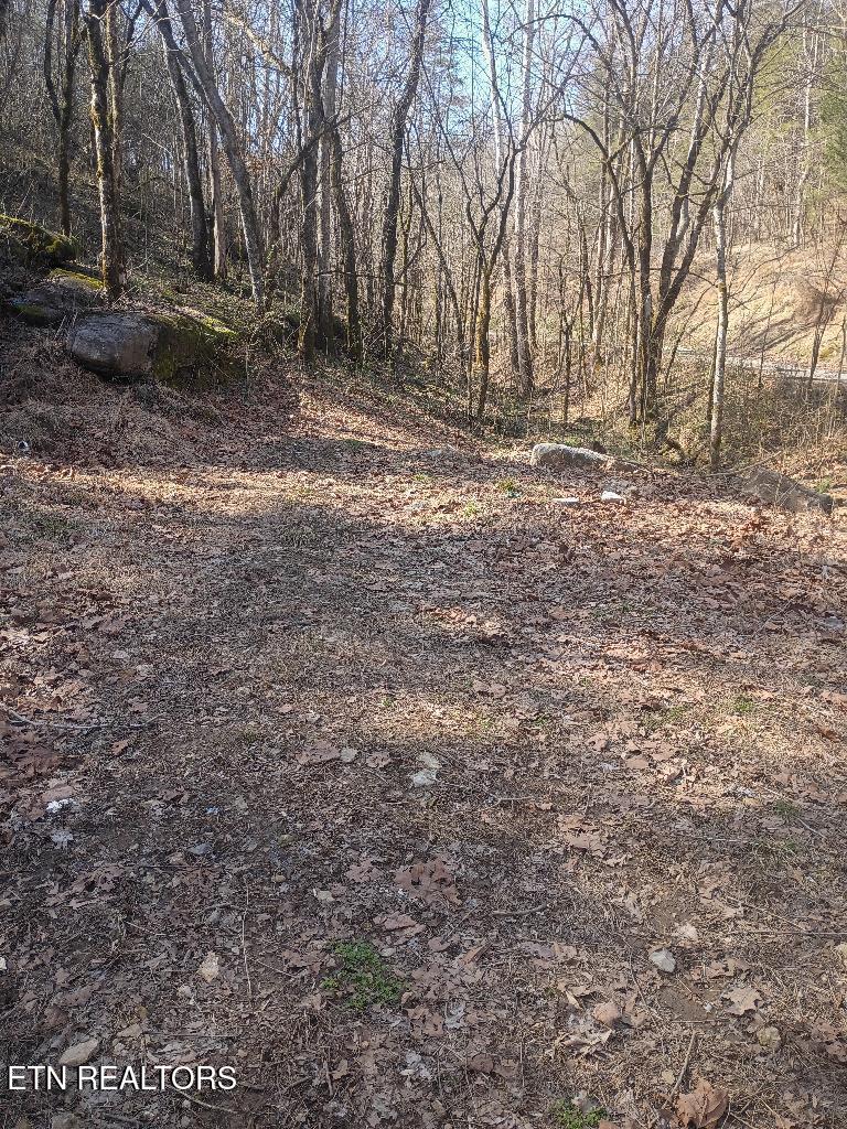 940 Riley Creek Road Whitleyville TN 38588