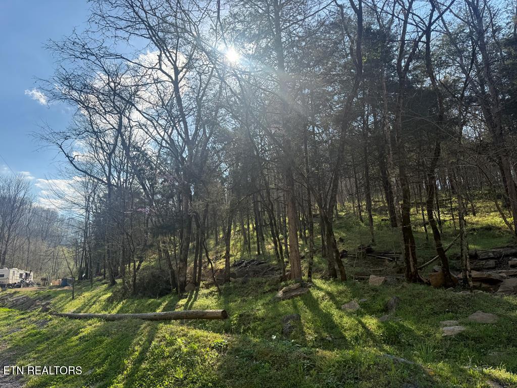 940 Riley Creek Road Whitleyville TN 38588