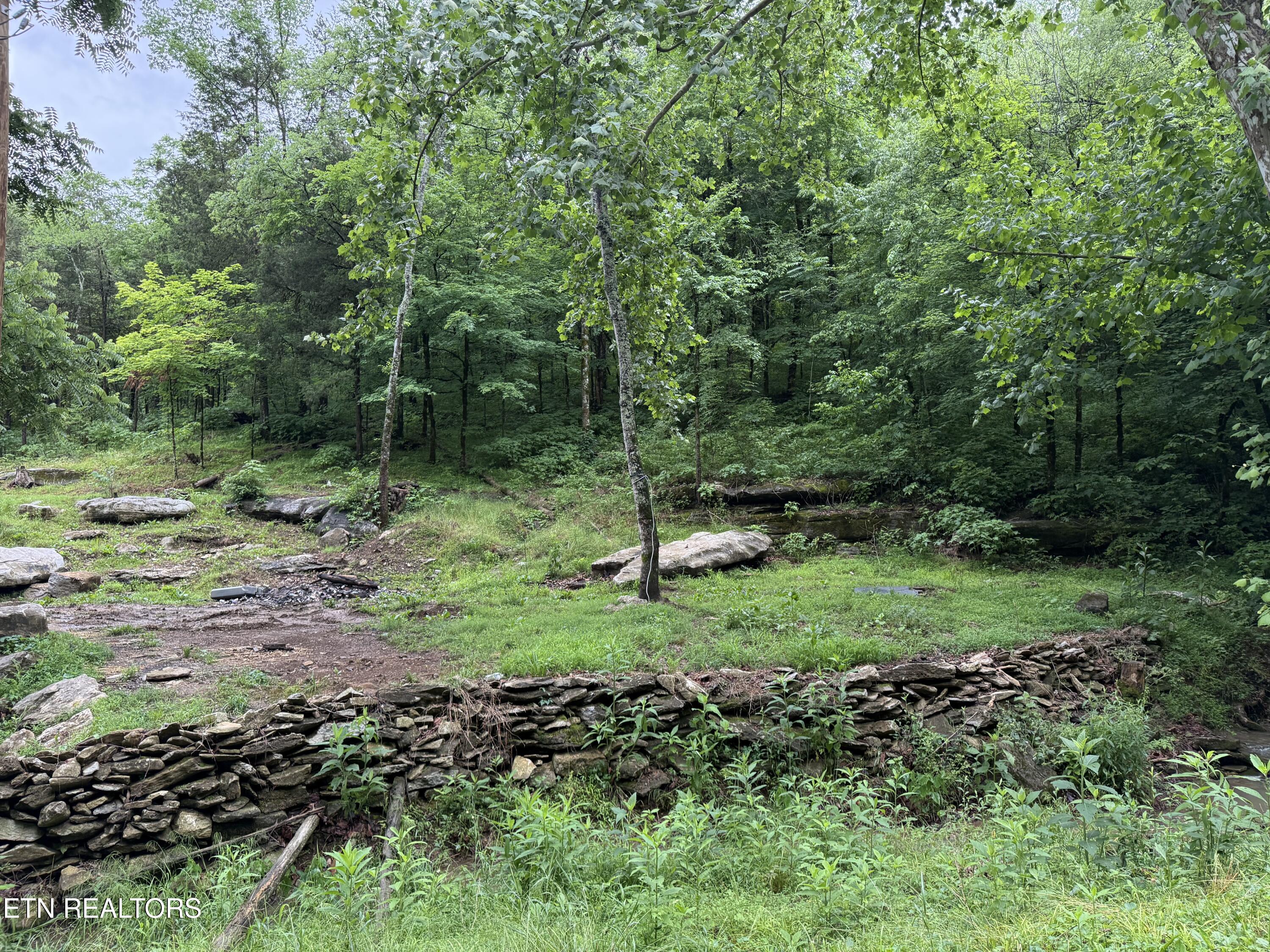 940 Riley Creek Road Whitleyville TN 38588