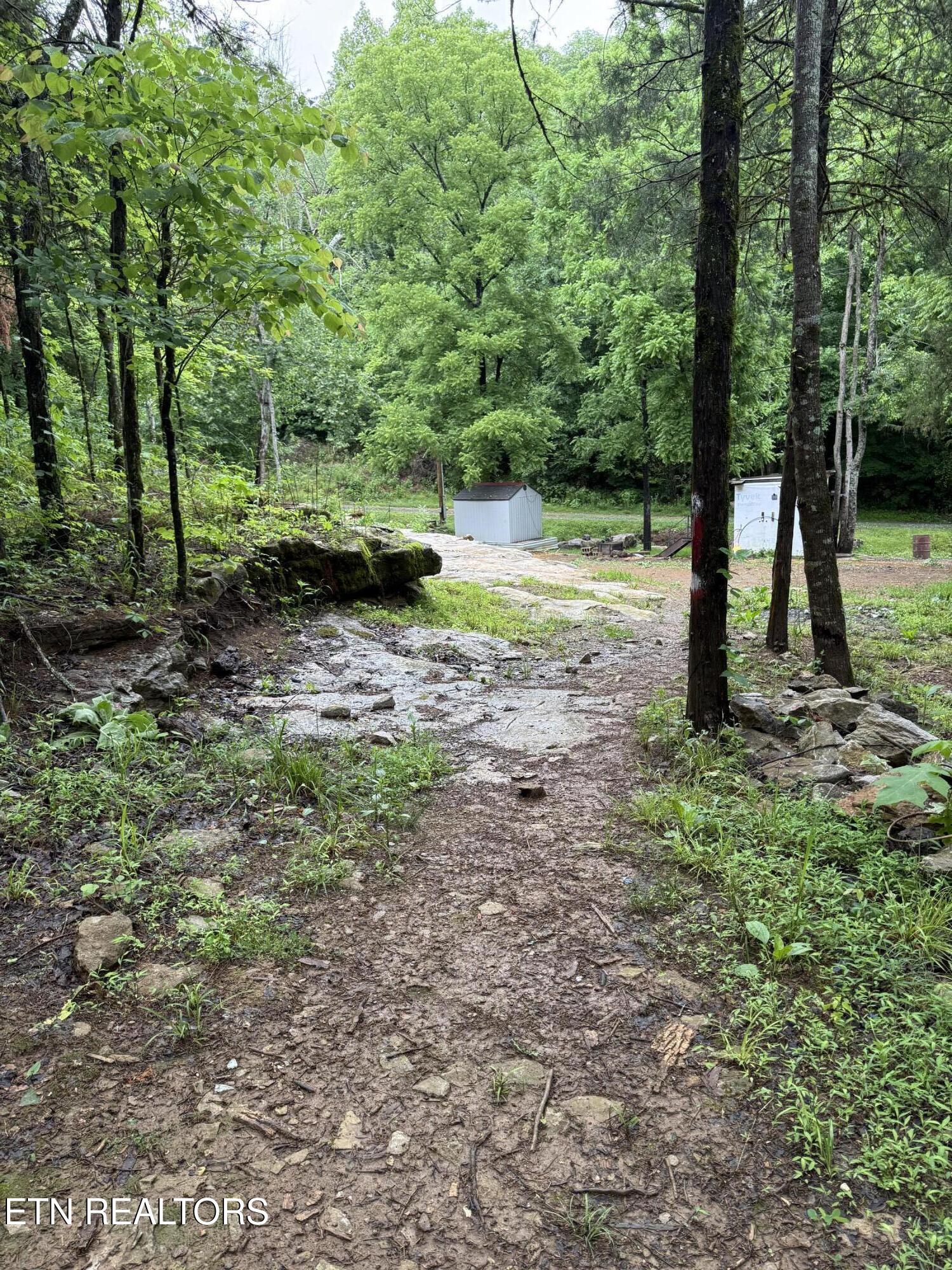 940 Riley Creek Road Whitleyville TN 38588