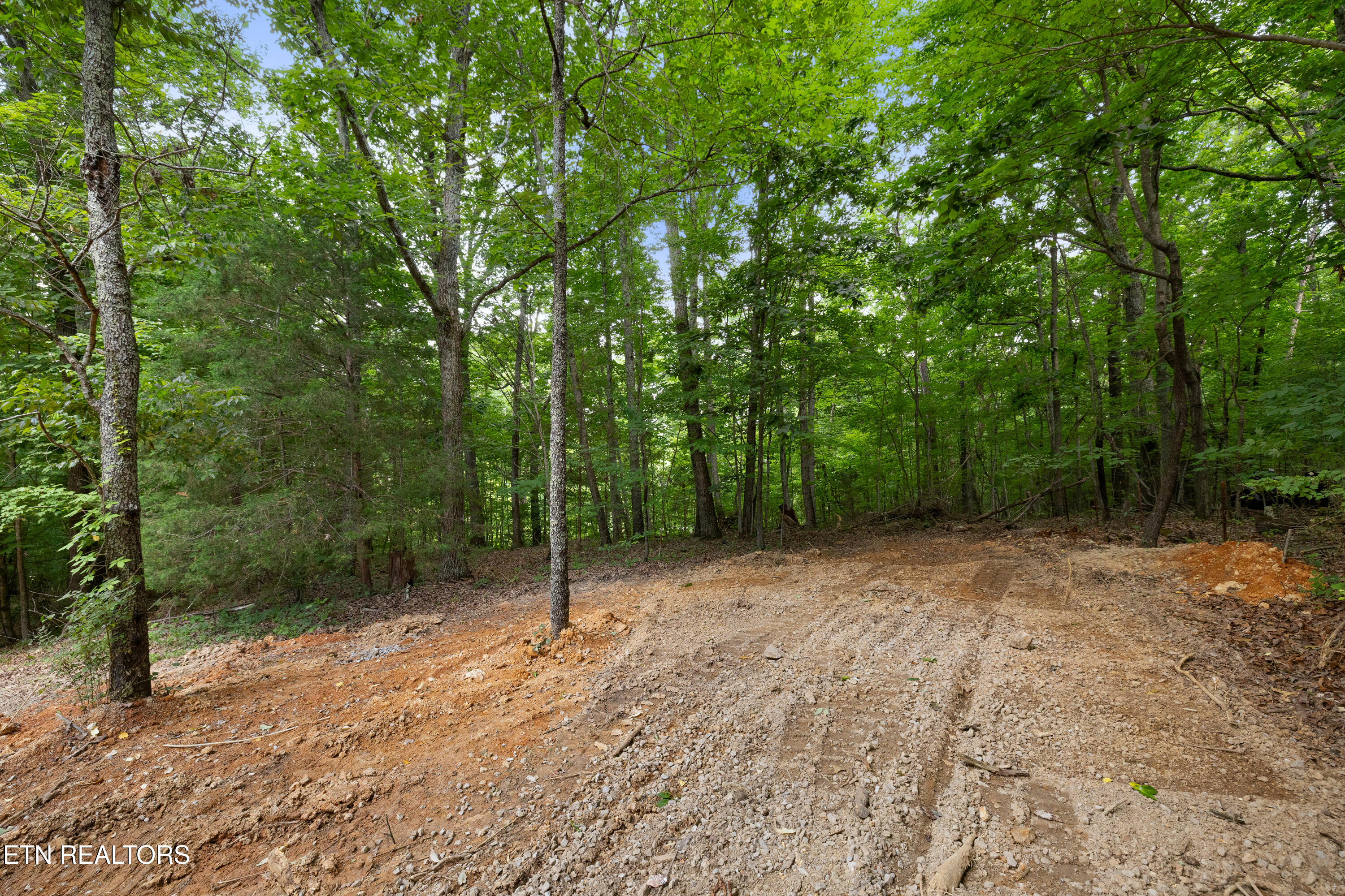Bert Newman Lane Knoxville TN 37931