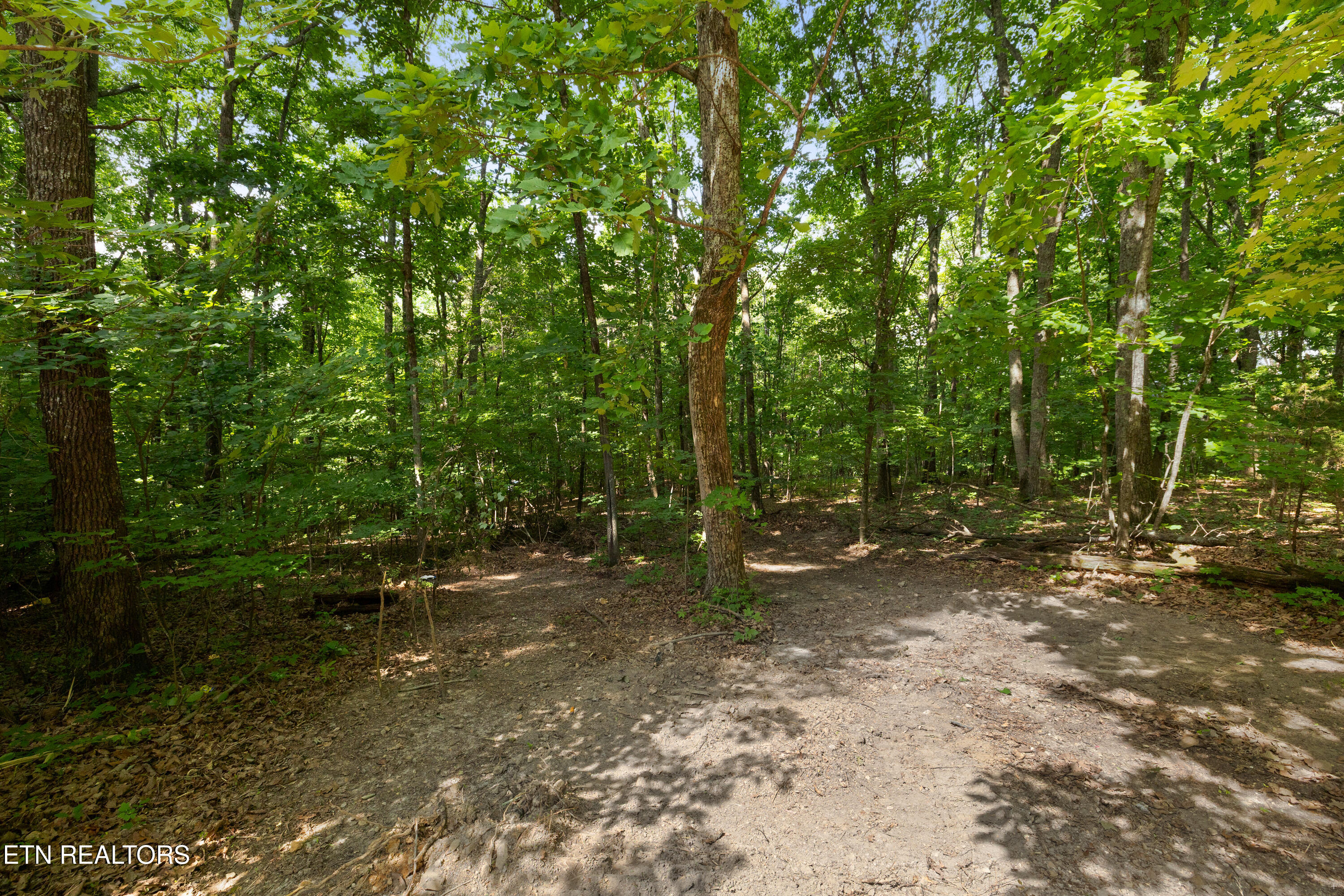 Bert Newman Lane Knoxville TN 37931