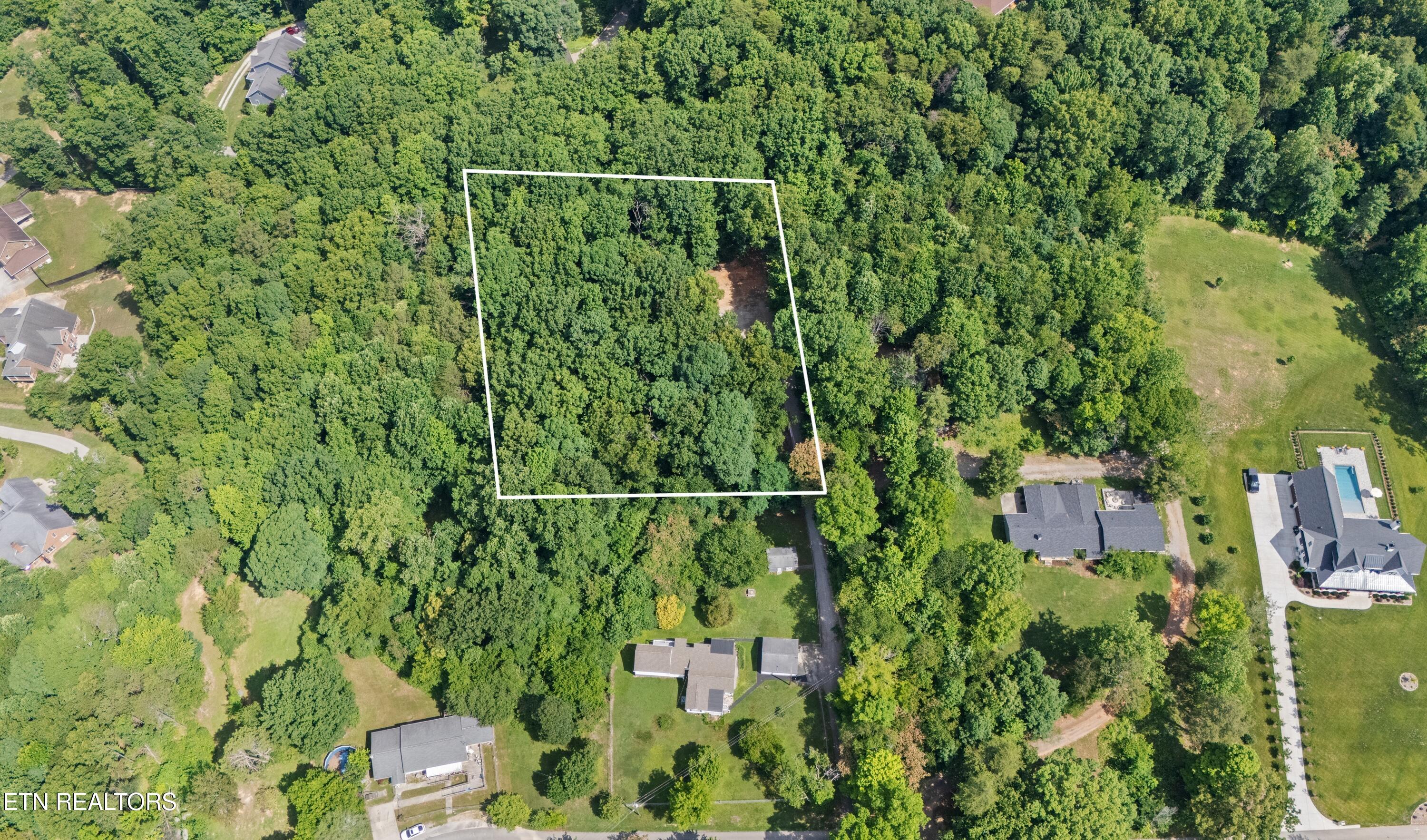 Bert Newman Lane Knoxville TN 37931