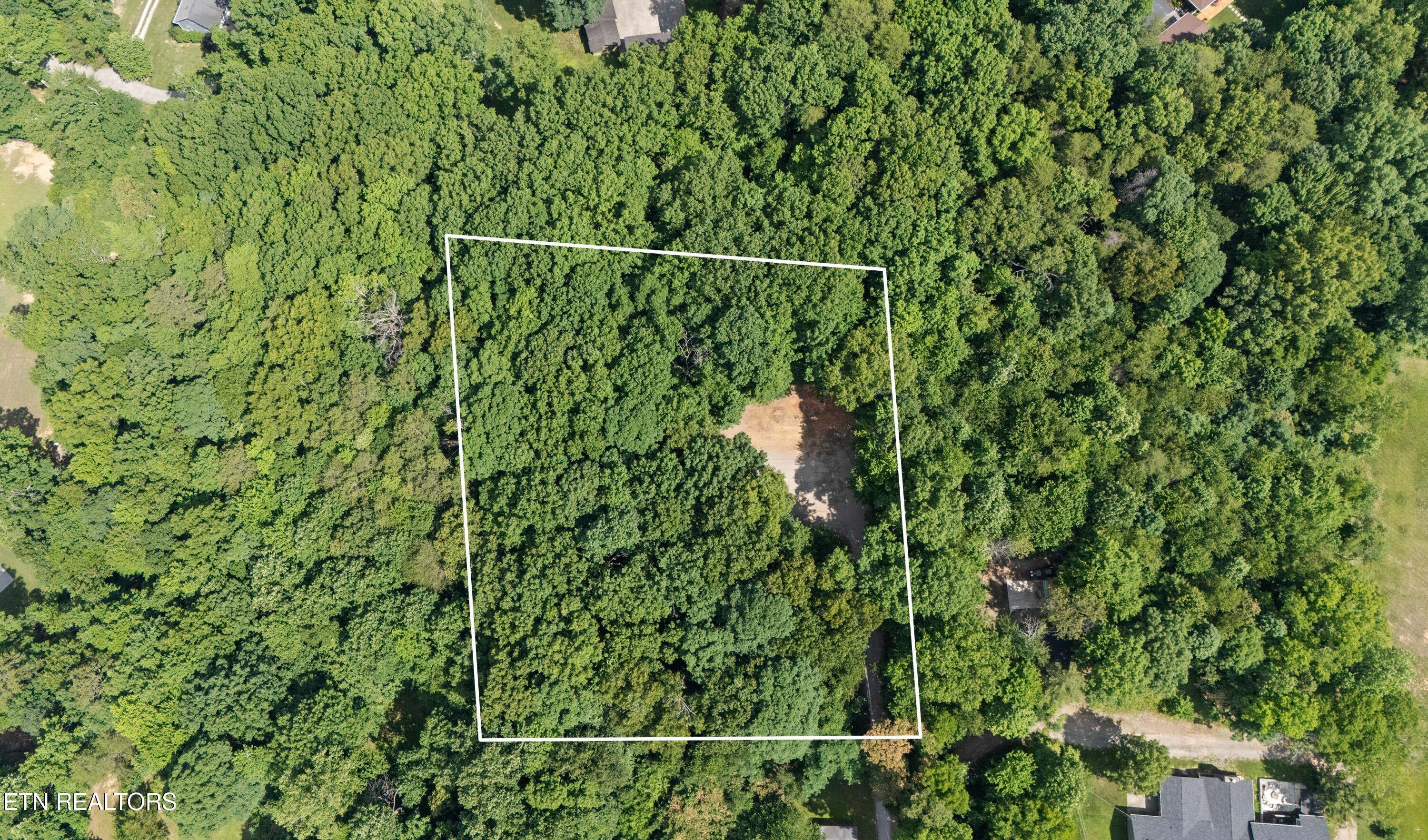 Bert Newman Lane Knoxville TN 37931