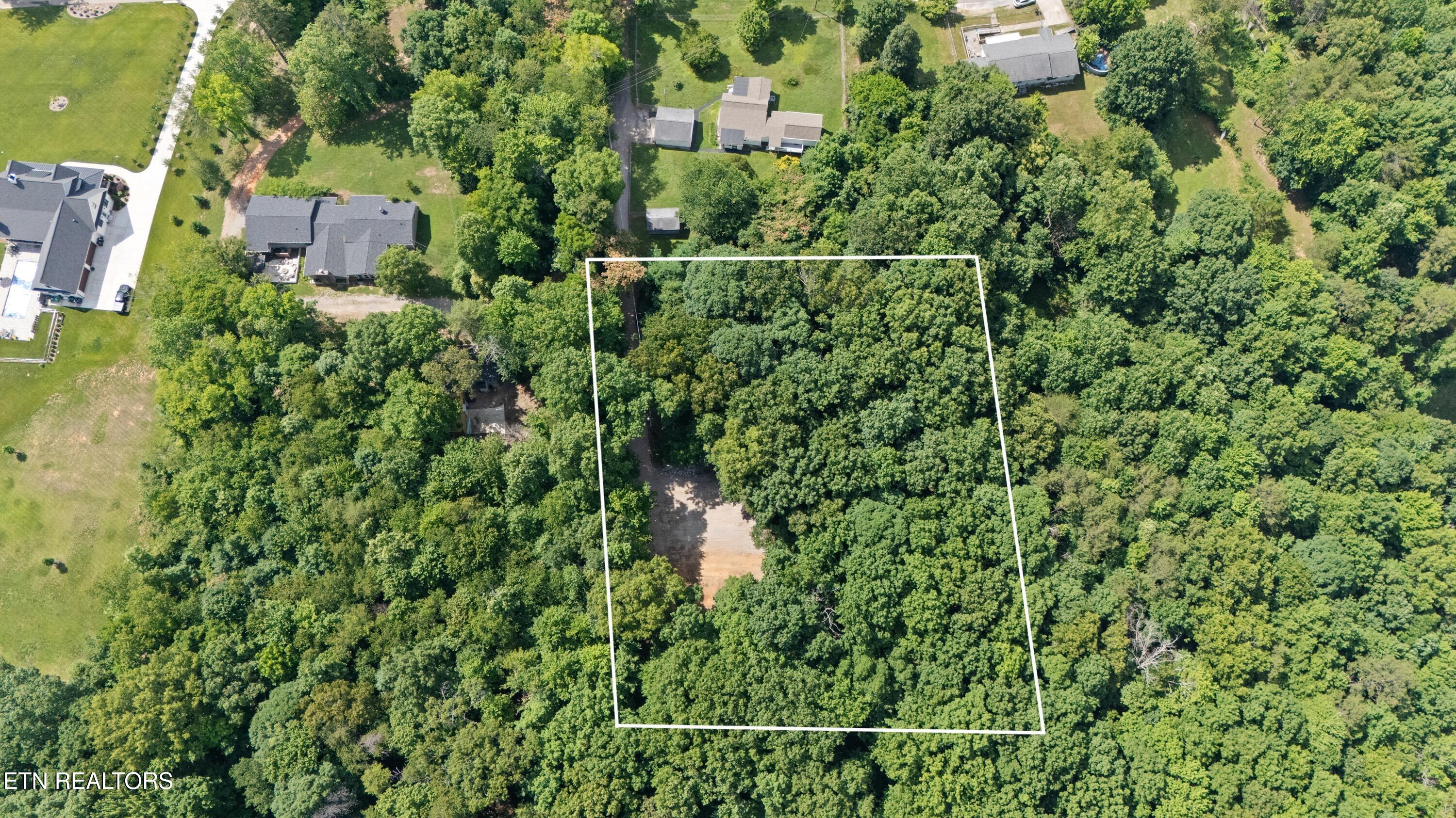 Bert Newman Lane Knoxville TN 37931