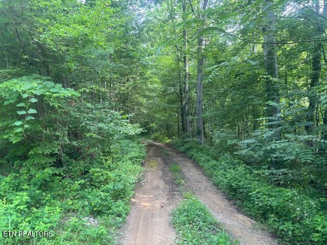 Crossville TN 38555