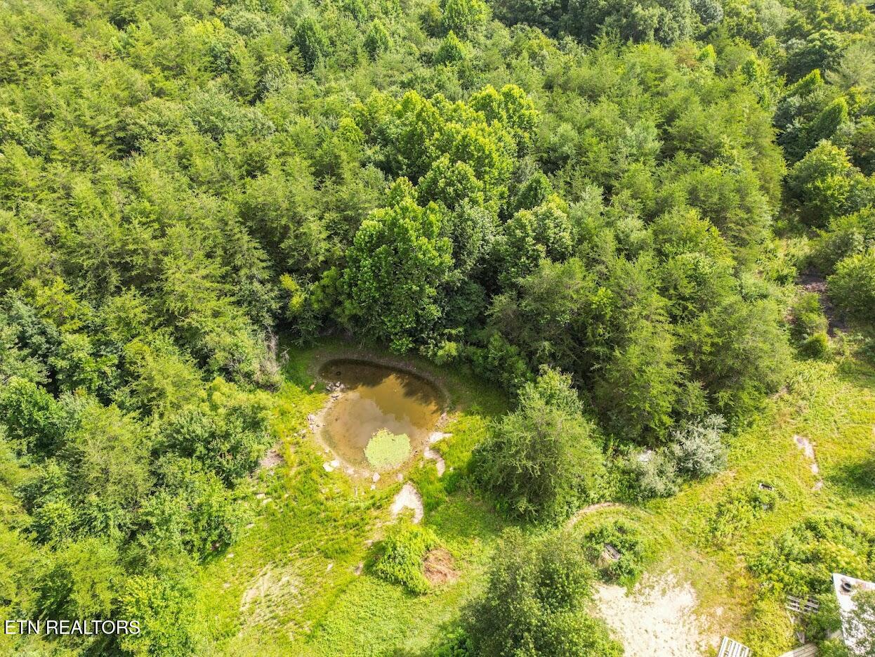 Crossville TN 38555