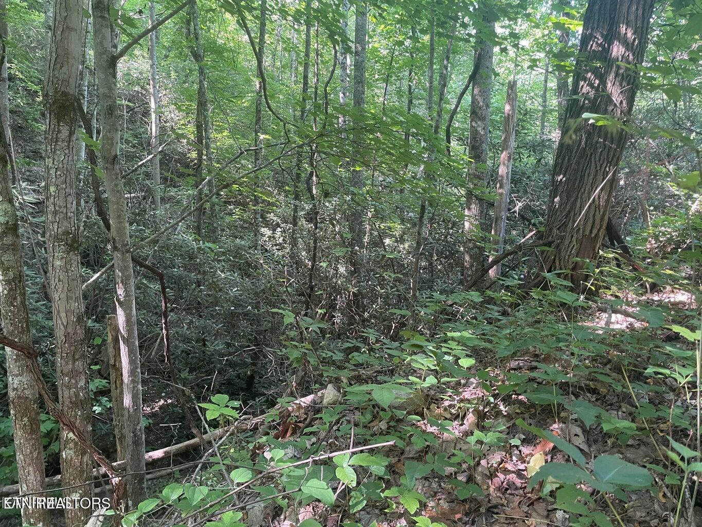 Lot 1 Sycamore Street Sevierville TN 37876