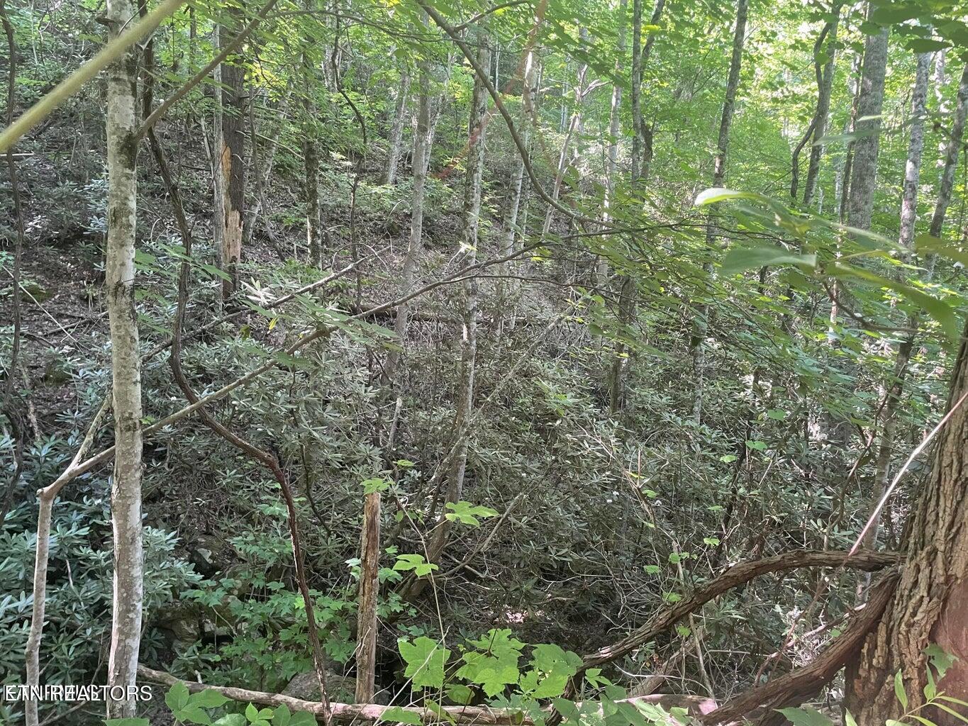 Lot 1 Sycamore Street Sevierville TN 37876