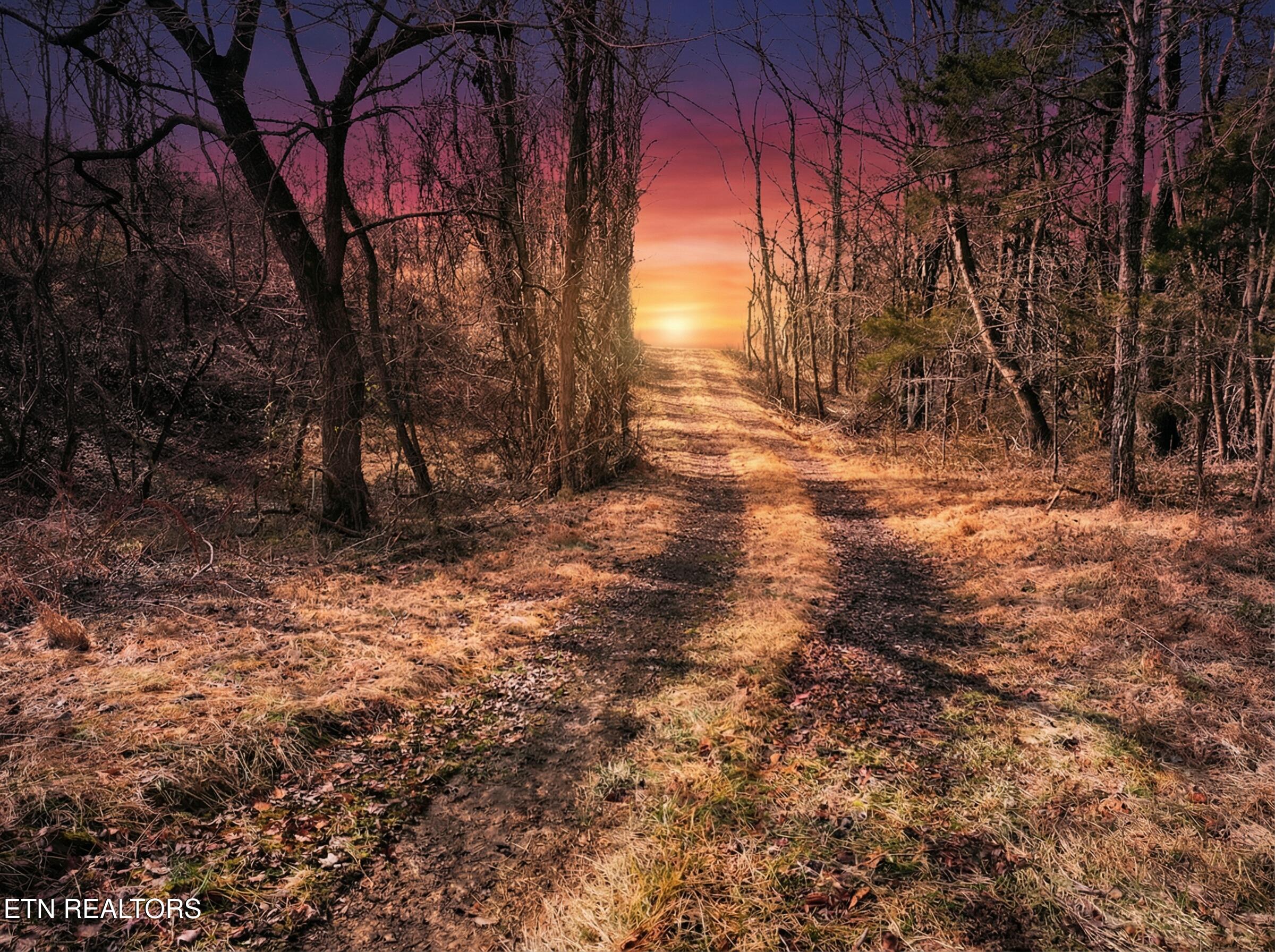 Jearoldstown Road Chuckey TN 37641