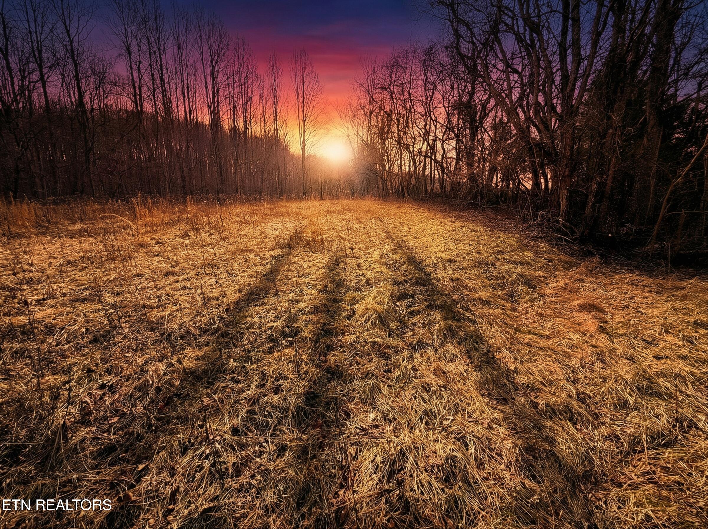 Jearoldstown Road Chuckey TN 37641