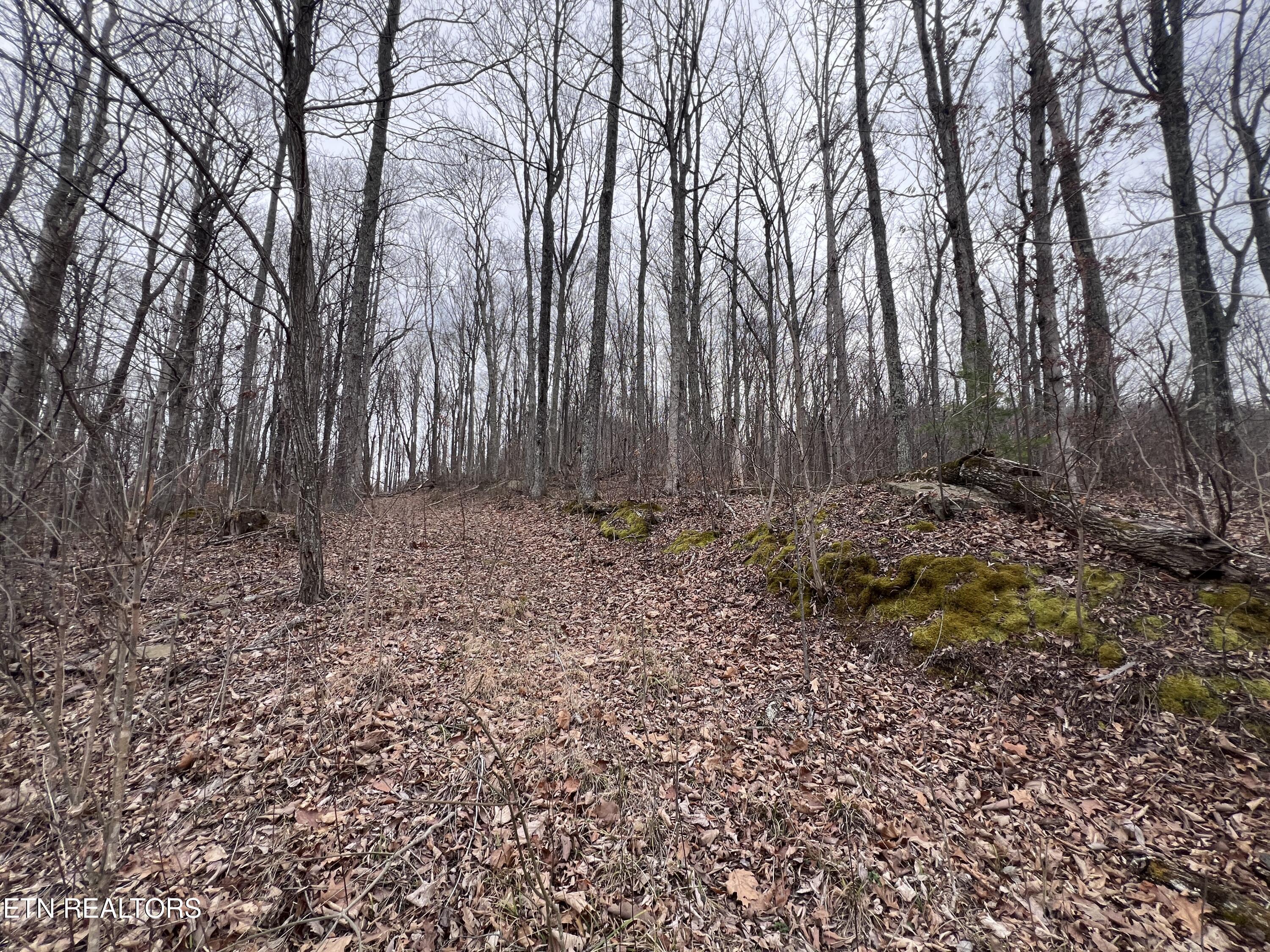 Lot 62 Apache Road Jamestown TN 38556