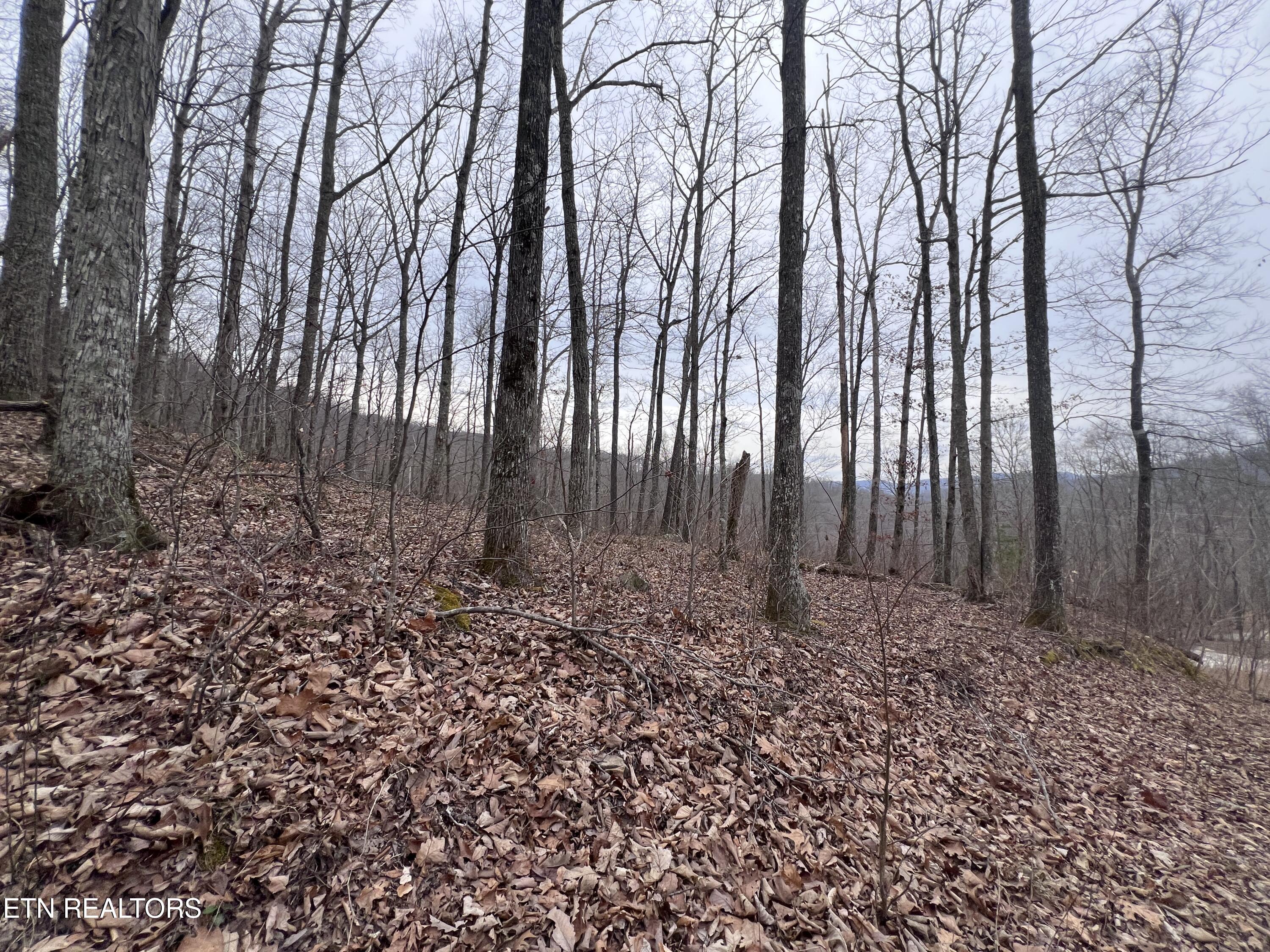 Lot 62 Apache Road Jamestown TN 38556