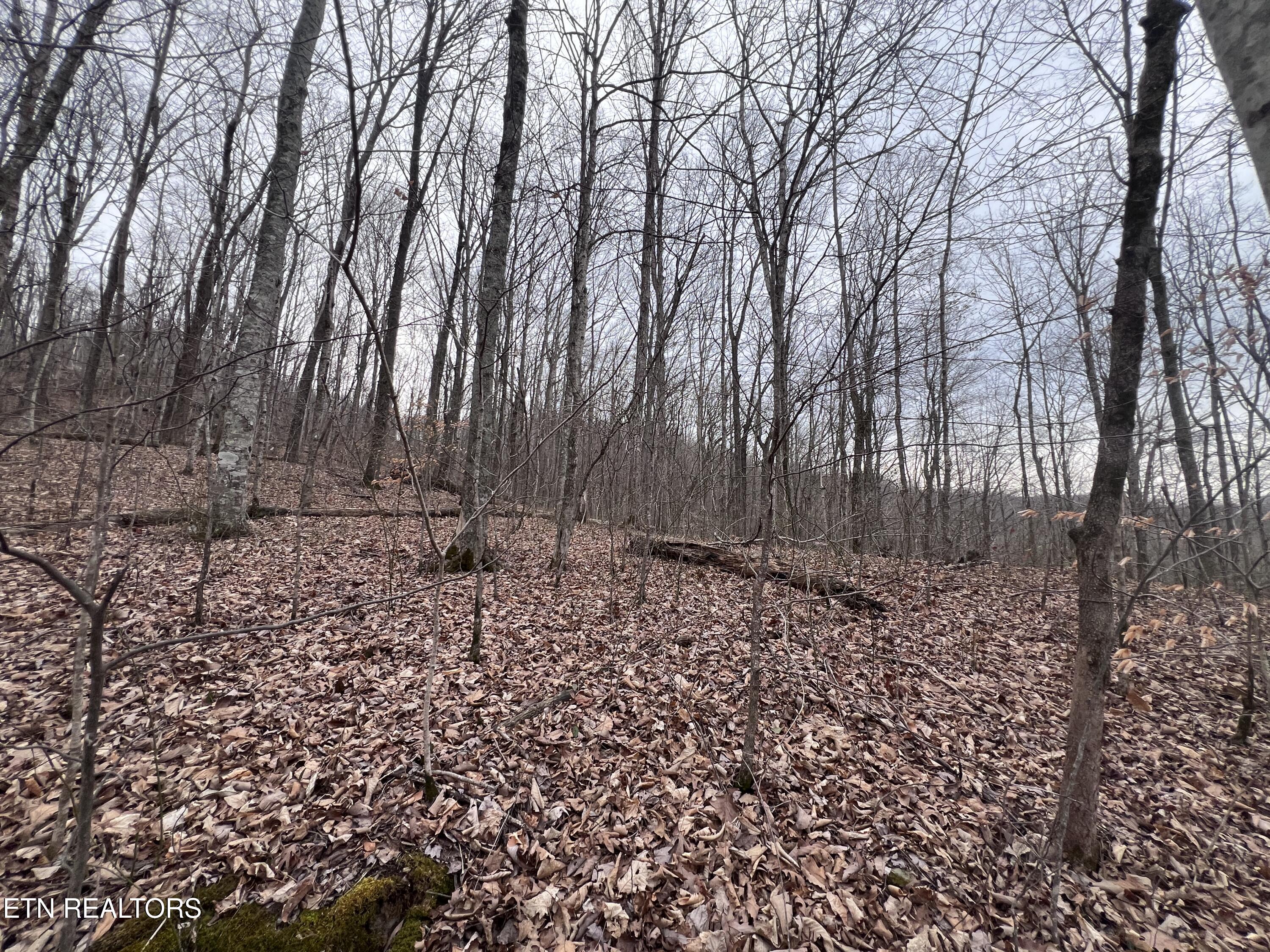 Lot 62 Apache Road Jamestown TN 38556